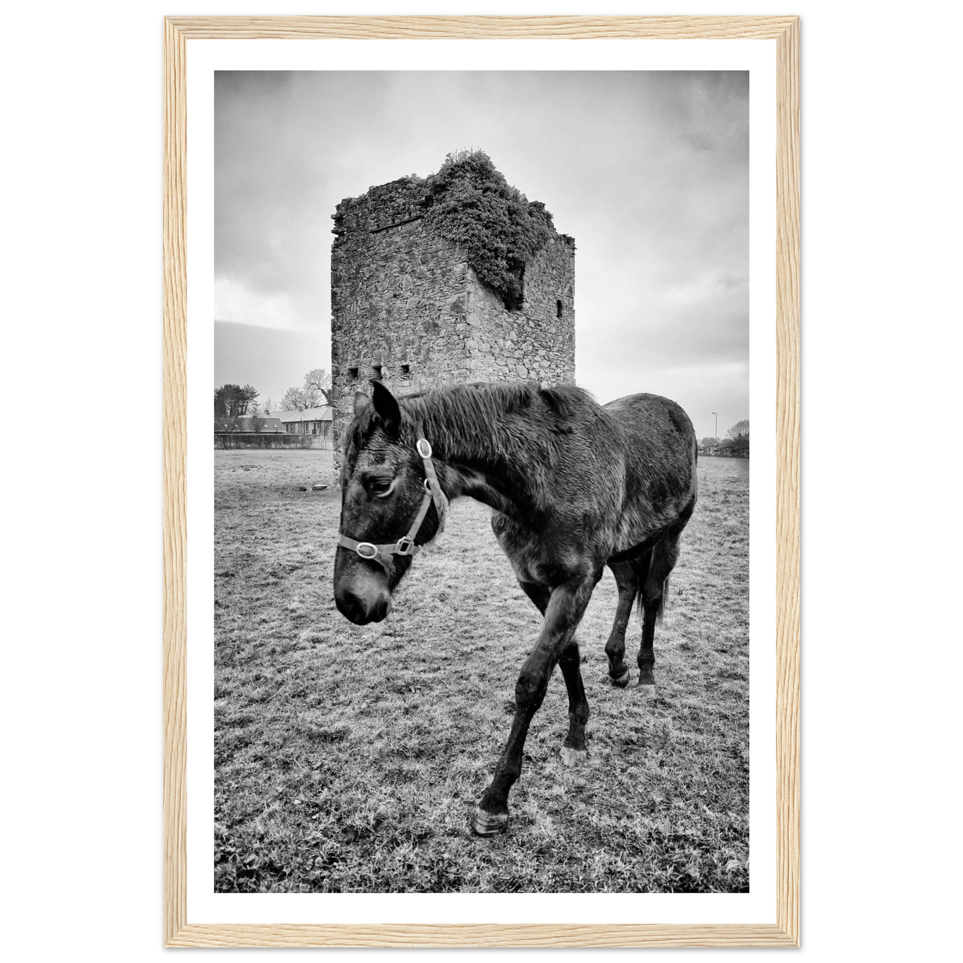 5930e962-da75-498b-8f7b-cf05d2e58cb4