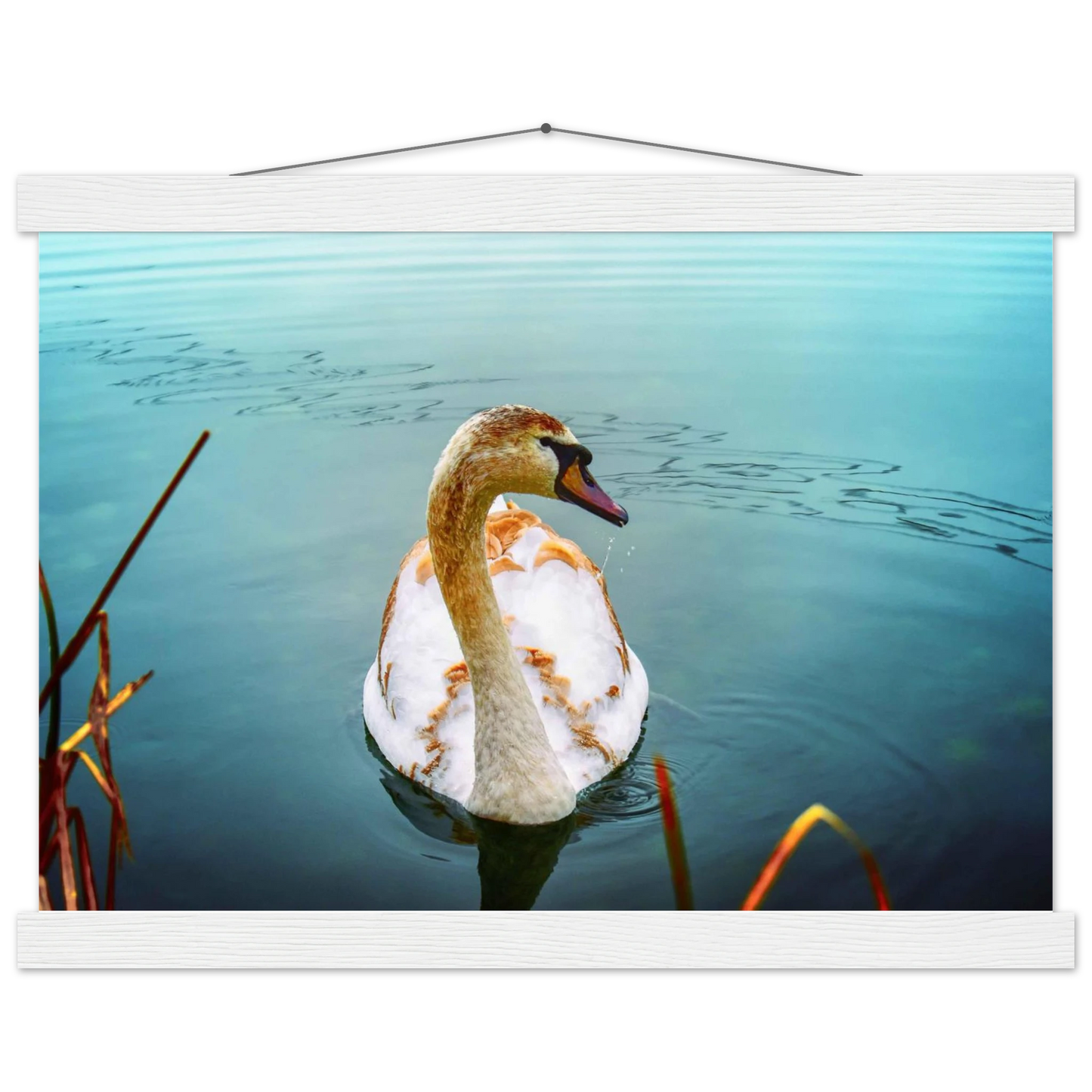 59414806-bfb5-4c88-bacc-b4c1e698699d