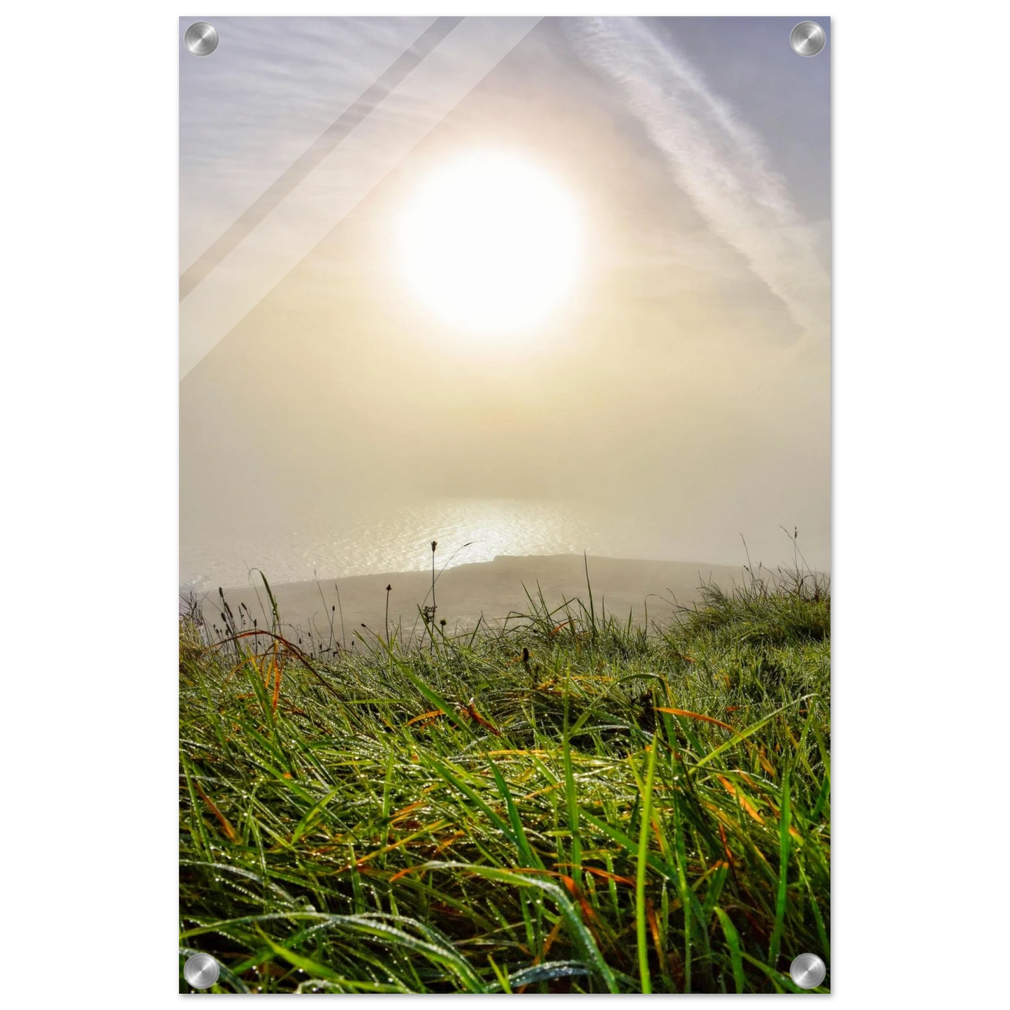 59c0c4f9-fce0-454d-91e9-a613d4acd0ae