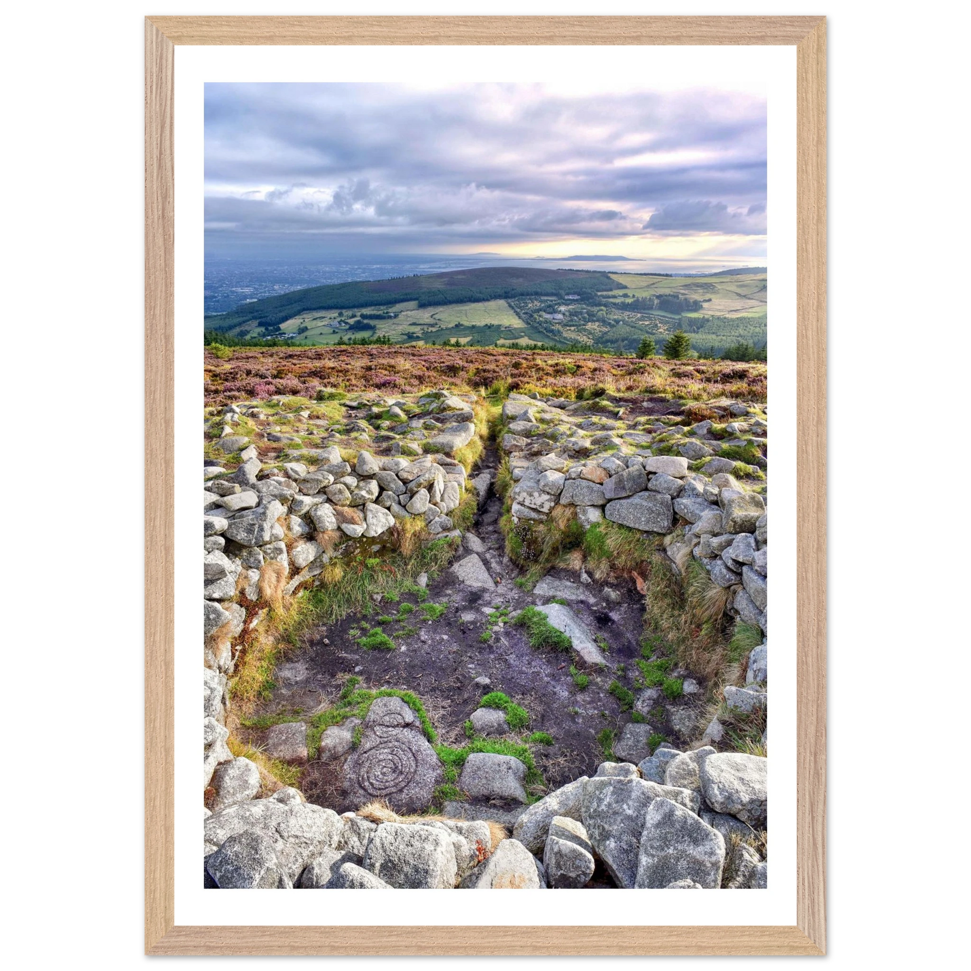 59eead49-1f67-4547-993a-af374c57db6c