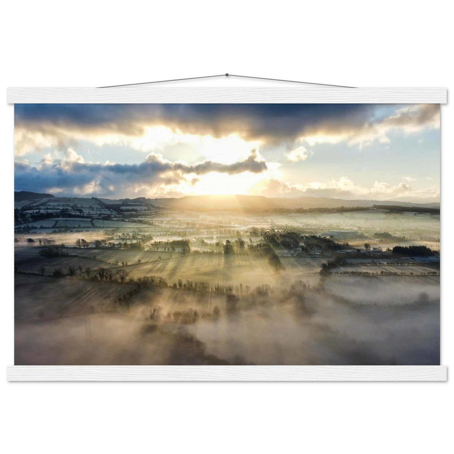 5a398ce3-3019-480a-bc84-47f98287b138