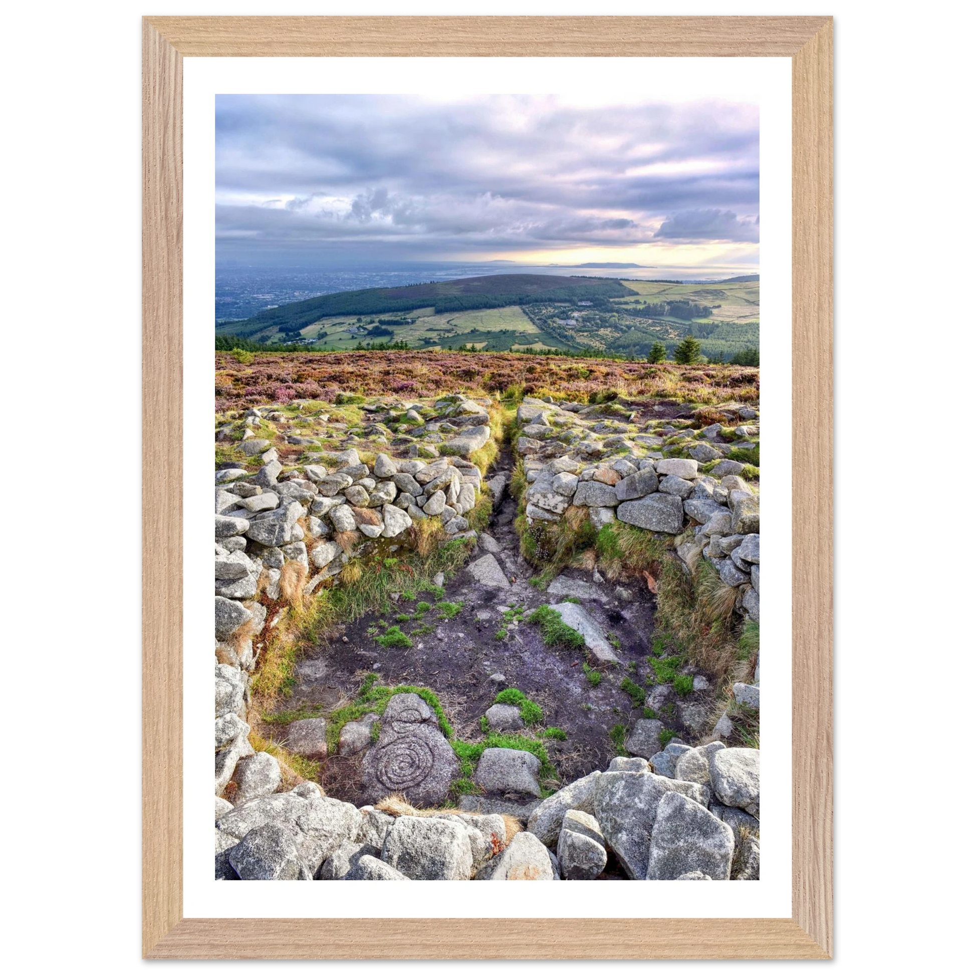 5ab8702c-3de6-4971-bb5d-80405bdf1708