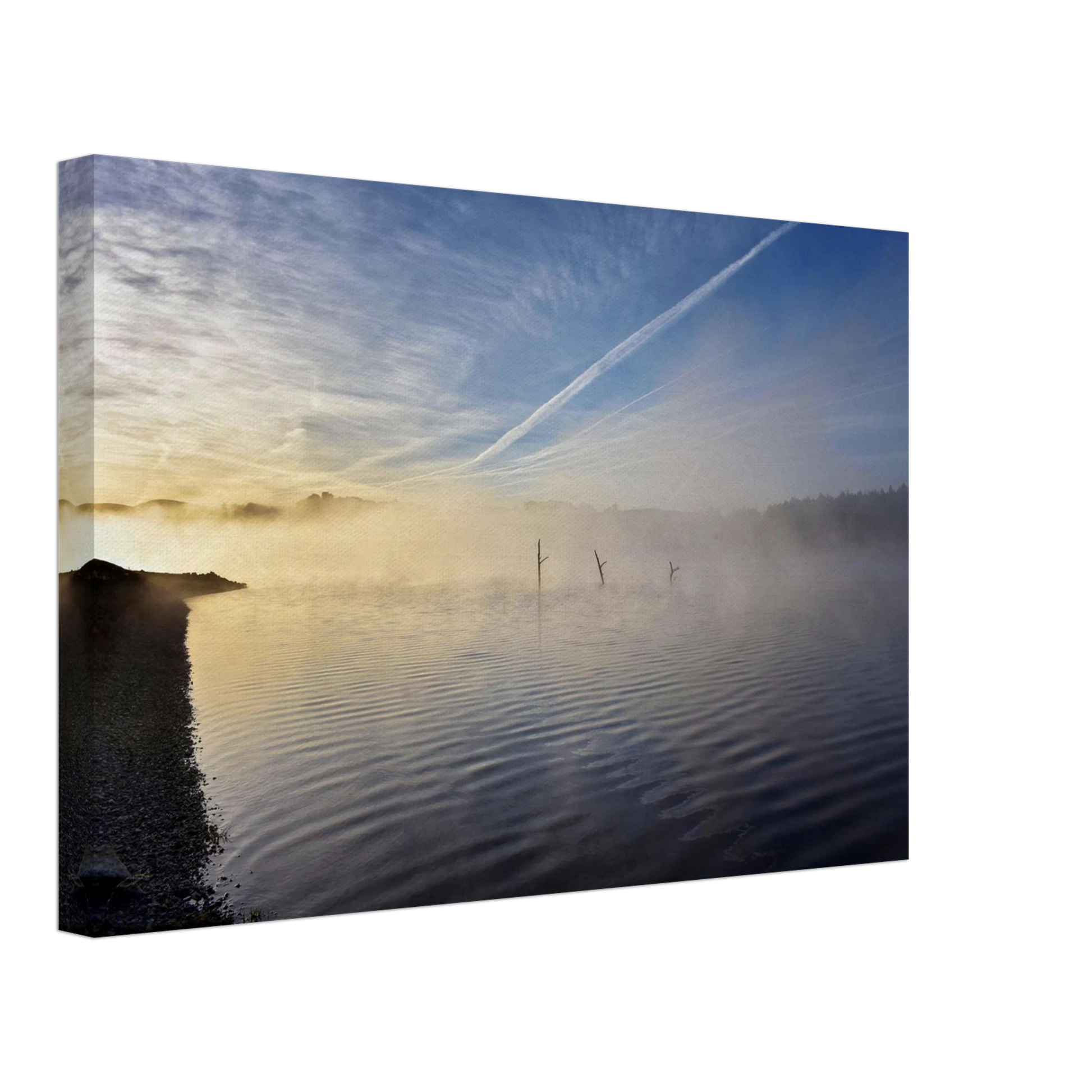 5ad2f487-1dec-4b5e-a8b7-22aa80784a22