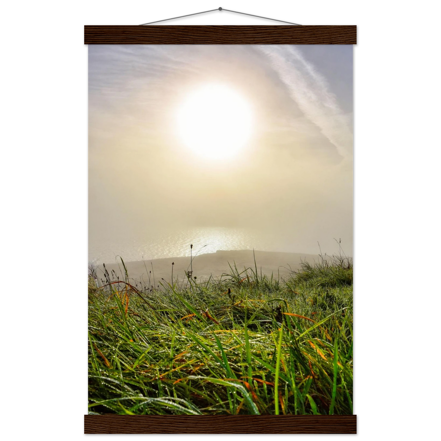 5ae338f6-7211-47d5-920e-7f81efa9c5cc