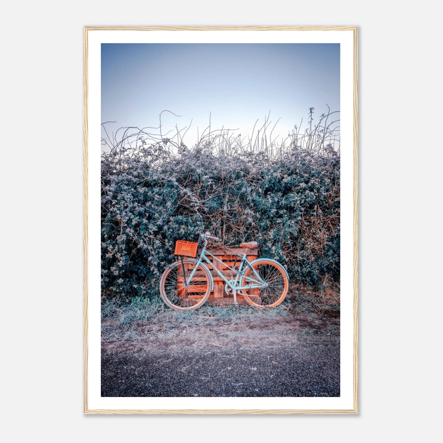 5b209eb2-e962-4c9d-80c6-232f2bf87c1a