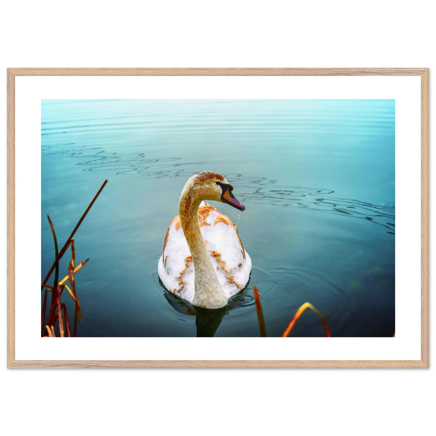 5b51fb94-849a-498e-a7e6-3e0f316b0c72