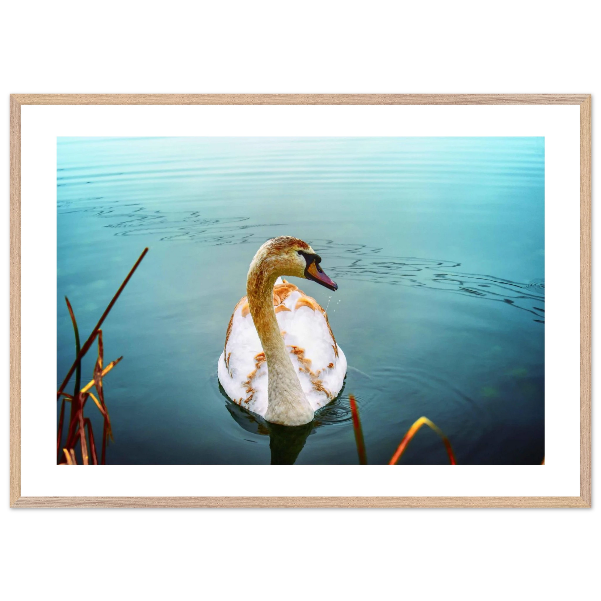 5b51fb94-849a-498e-a7e6-3e0f316b0c72