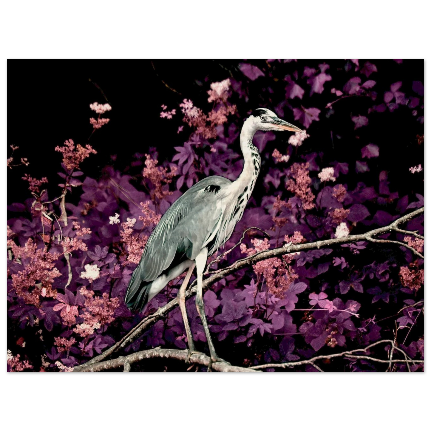 5bc8ef20-a910-4ba1-bdc0-6b36925e601d