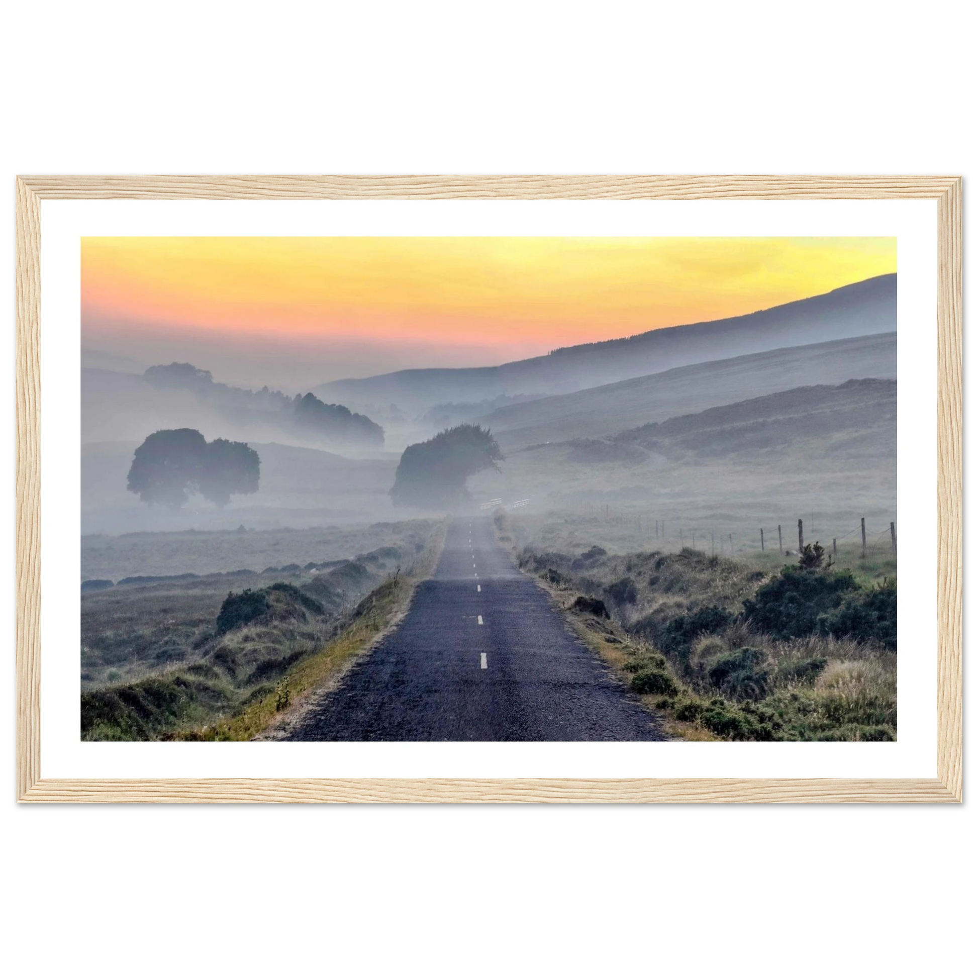 5bc93a07-517a-47ed-982c-d2a101b3a84f