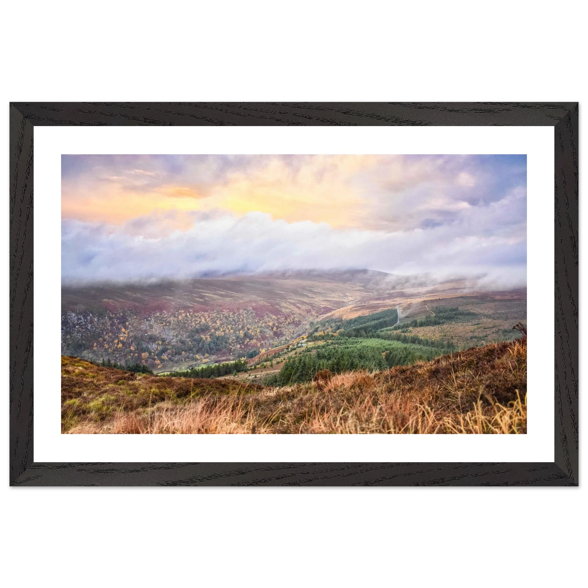 5c088b56-1838-48ae-ad56-b3fbc9ed6329