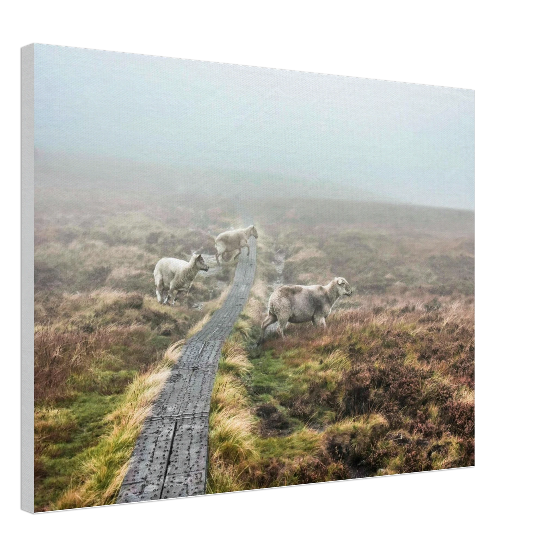 5cd505fe-8837-46a3-9324-9b40274e3556