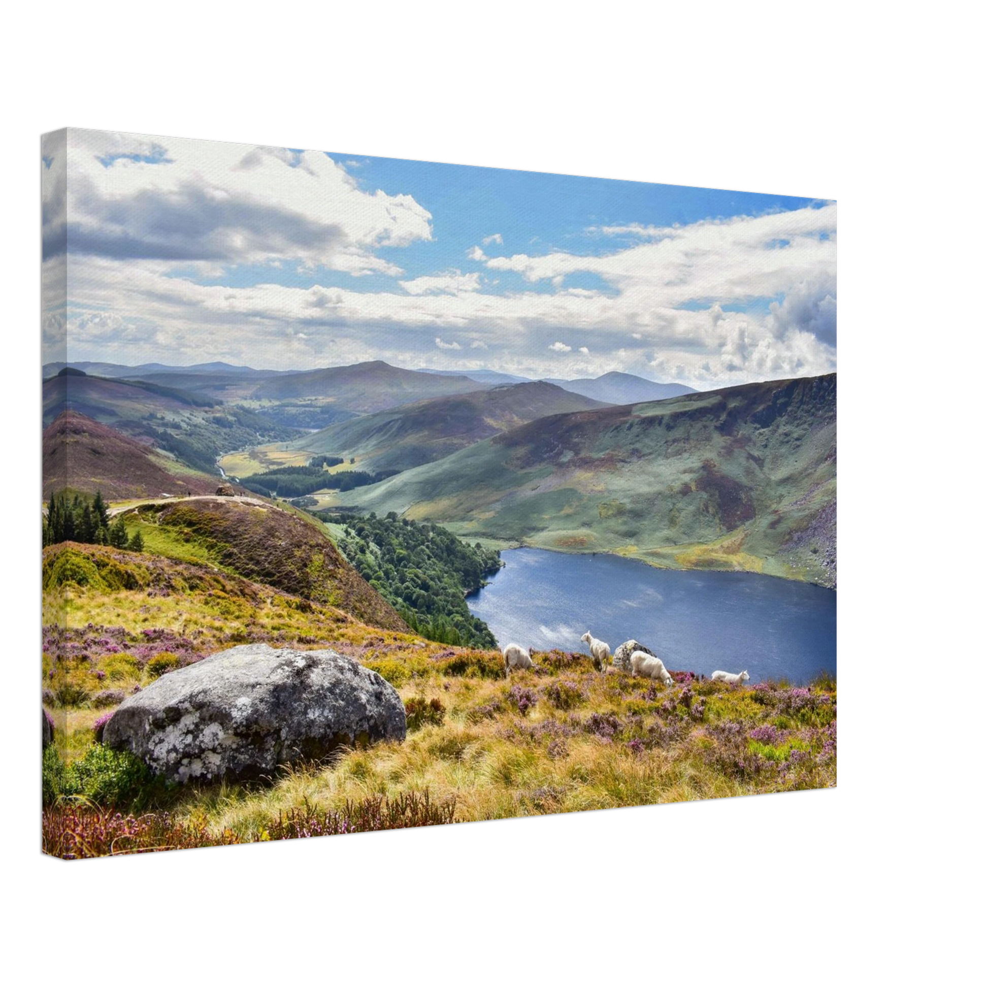 5ce3e2b2-bb21-4fa1-9a3d-637017cc1cdb