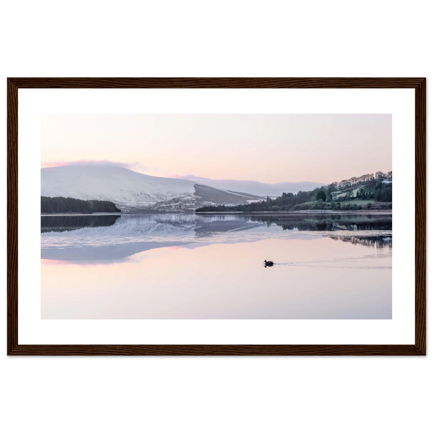 5d17fb86-8117-4b1f-a191-c1213392362e