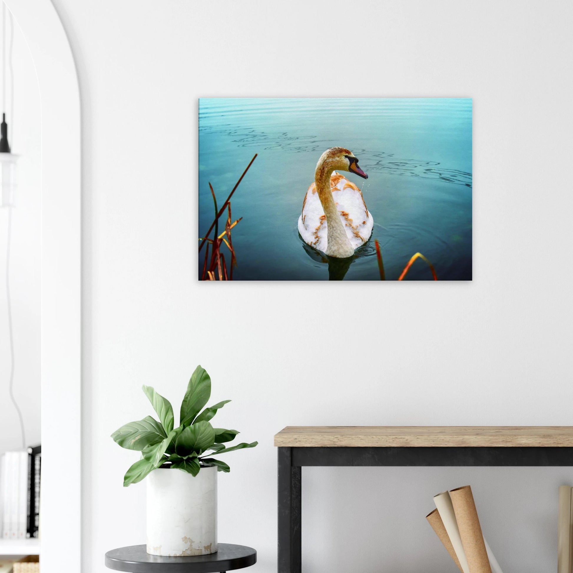 5d729a98-d079-49db-9a70-cbc0040cab79