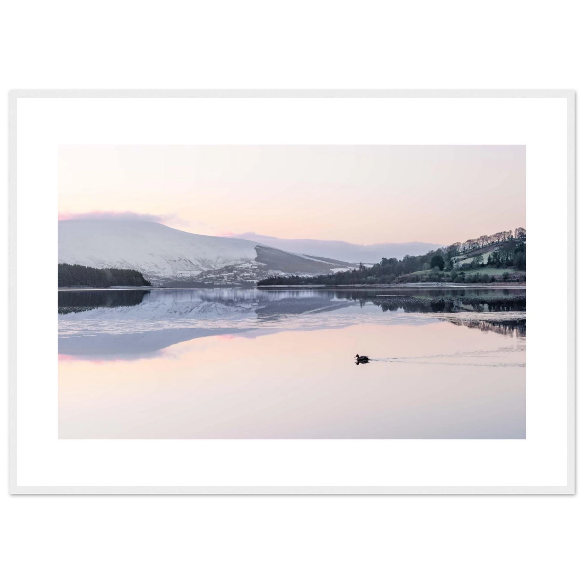 5d782681-8aac-4b9d-bbcd-d50522fd40b3