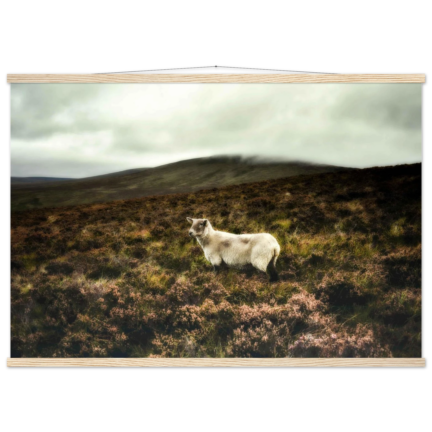 5e14bf60-2163-4e2f-bcd2-eff1c306b946