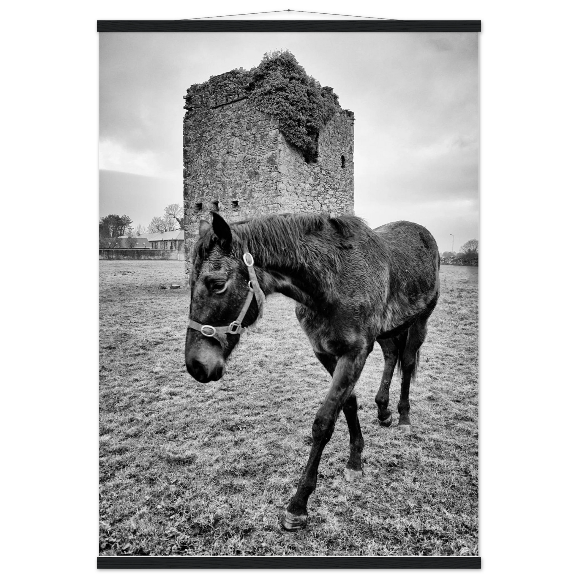 5e212cc3-d665-44f3-8308-b9f5c4591a51