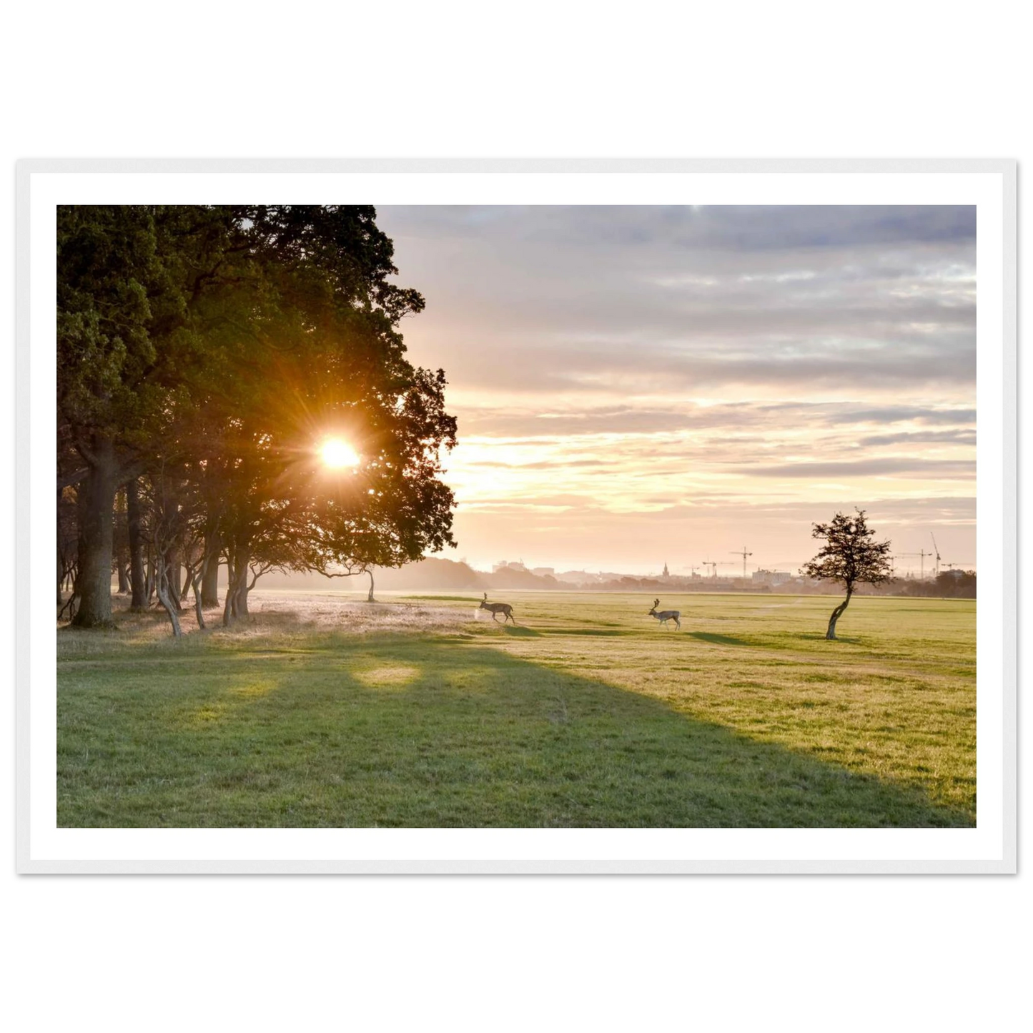 5e56b169-7181-4862-9a81-c5a9ce657309