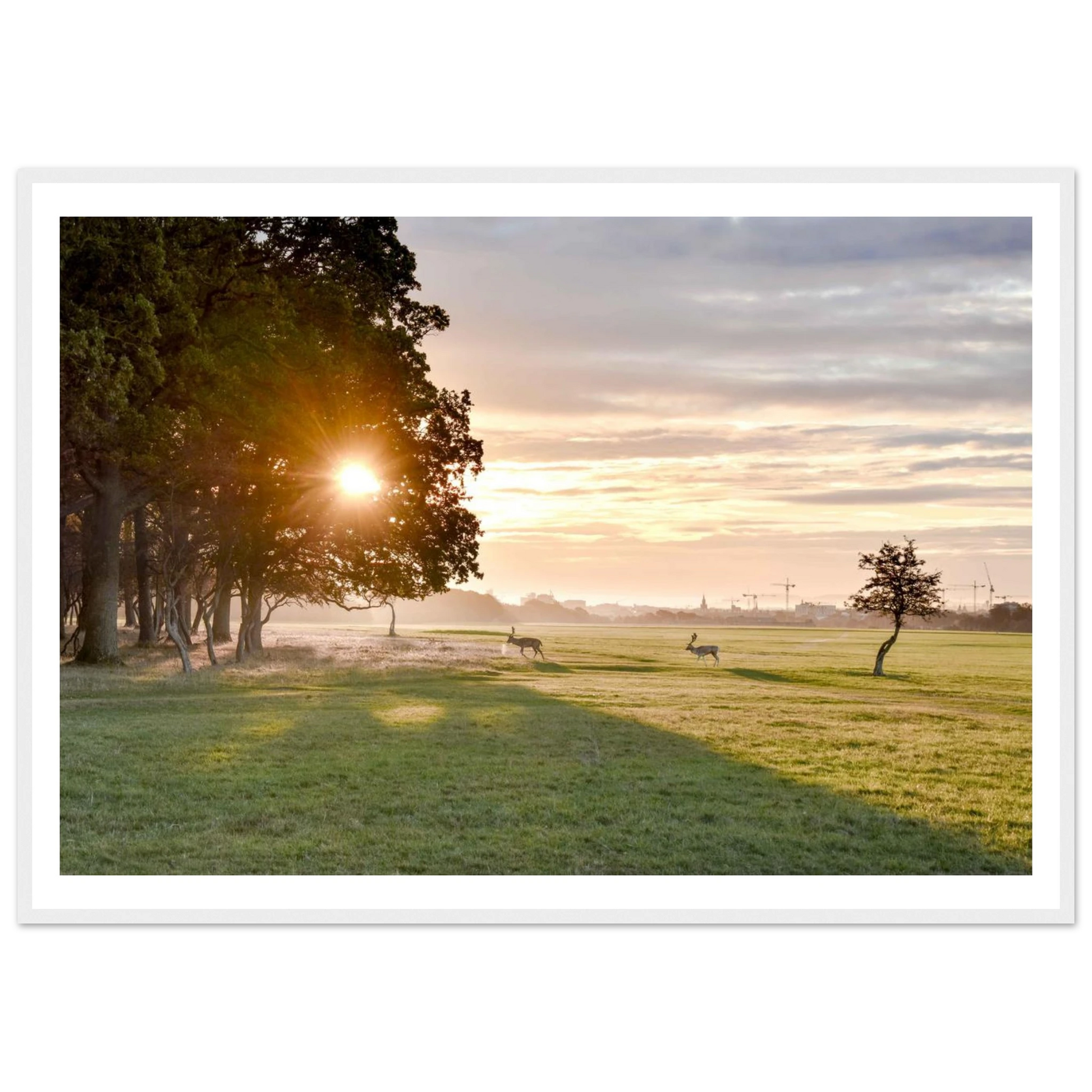 5e56b169-7181-4862-9a81-c5a9ce657309