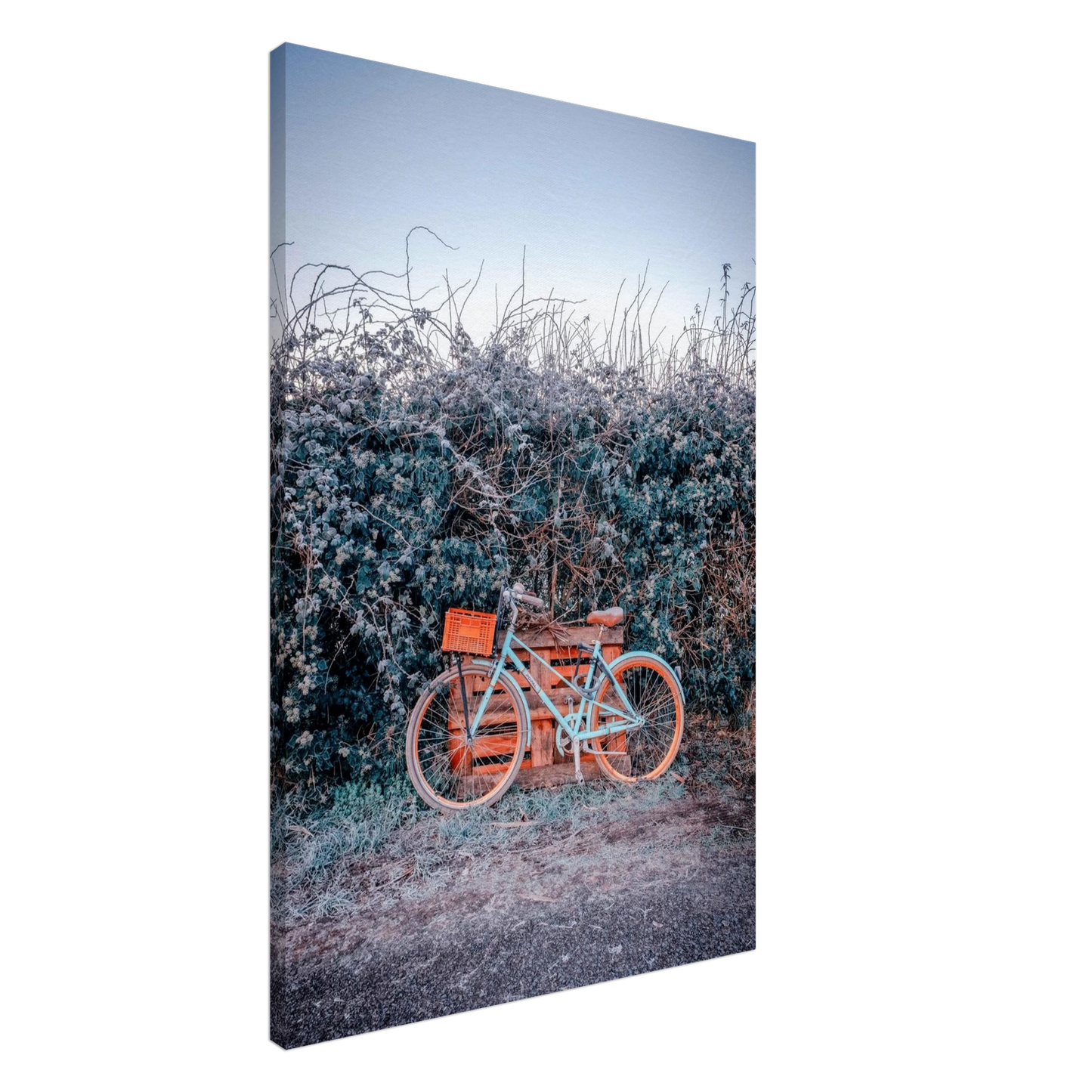 5e6794bc-be5b-4a86-8eac-a09b44540e23