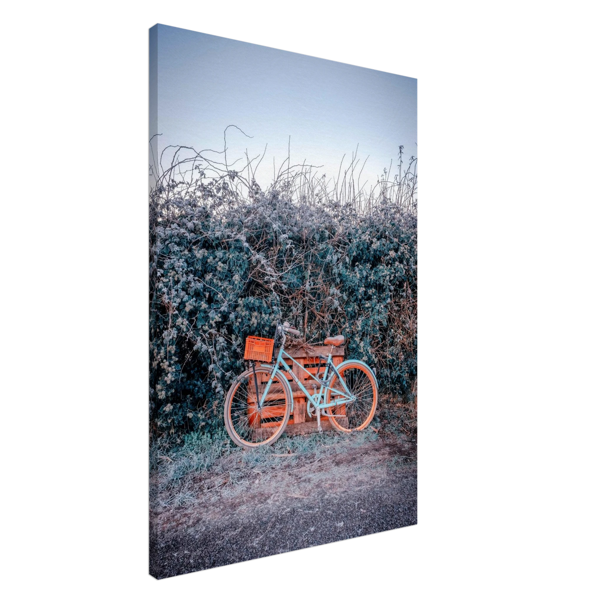 5e6794bc-be5b-4a86-8eac-a09b44540e23