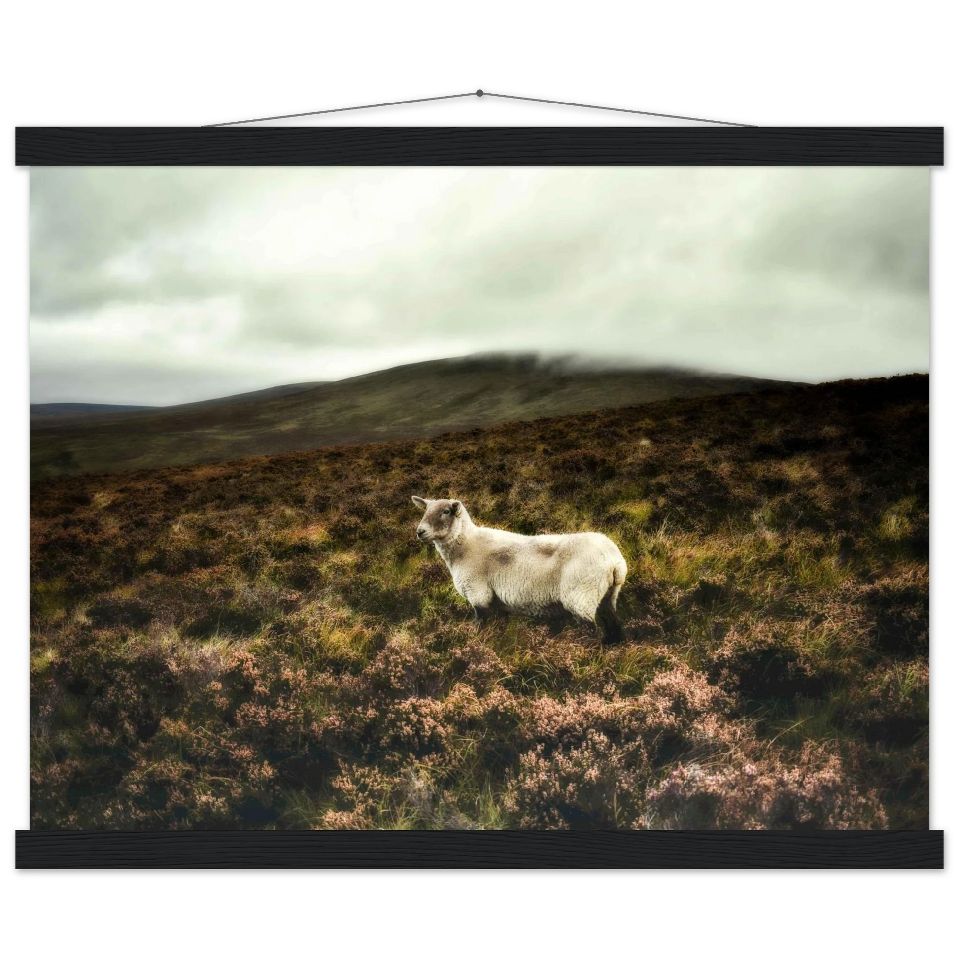 5e6d0836-bbcb-4071-b92b-bee330e50932