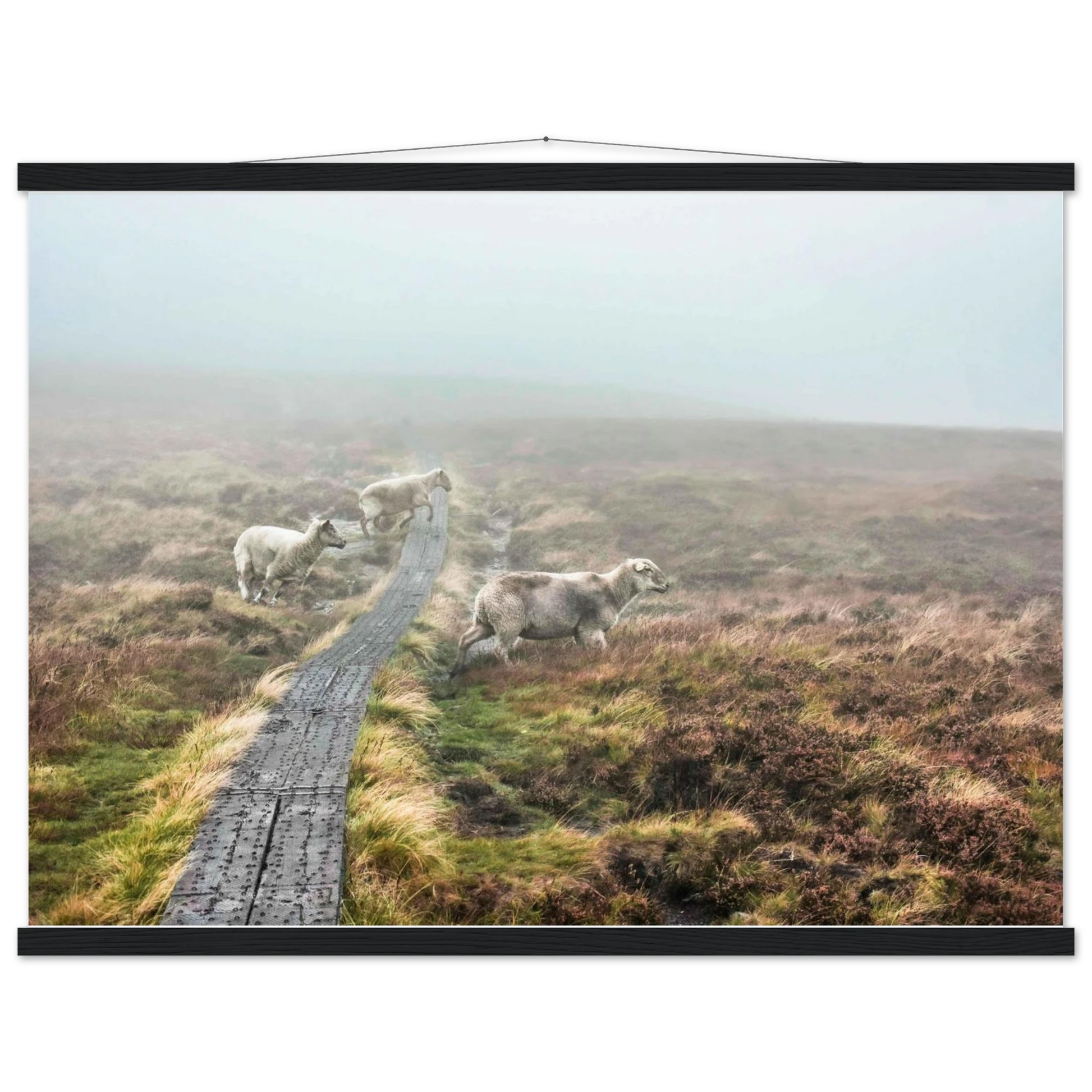 5eddb449-e636-46a3-ba42-930419587833