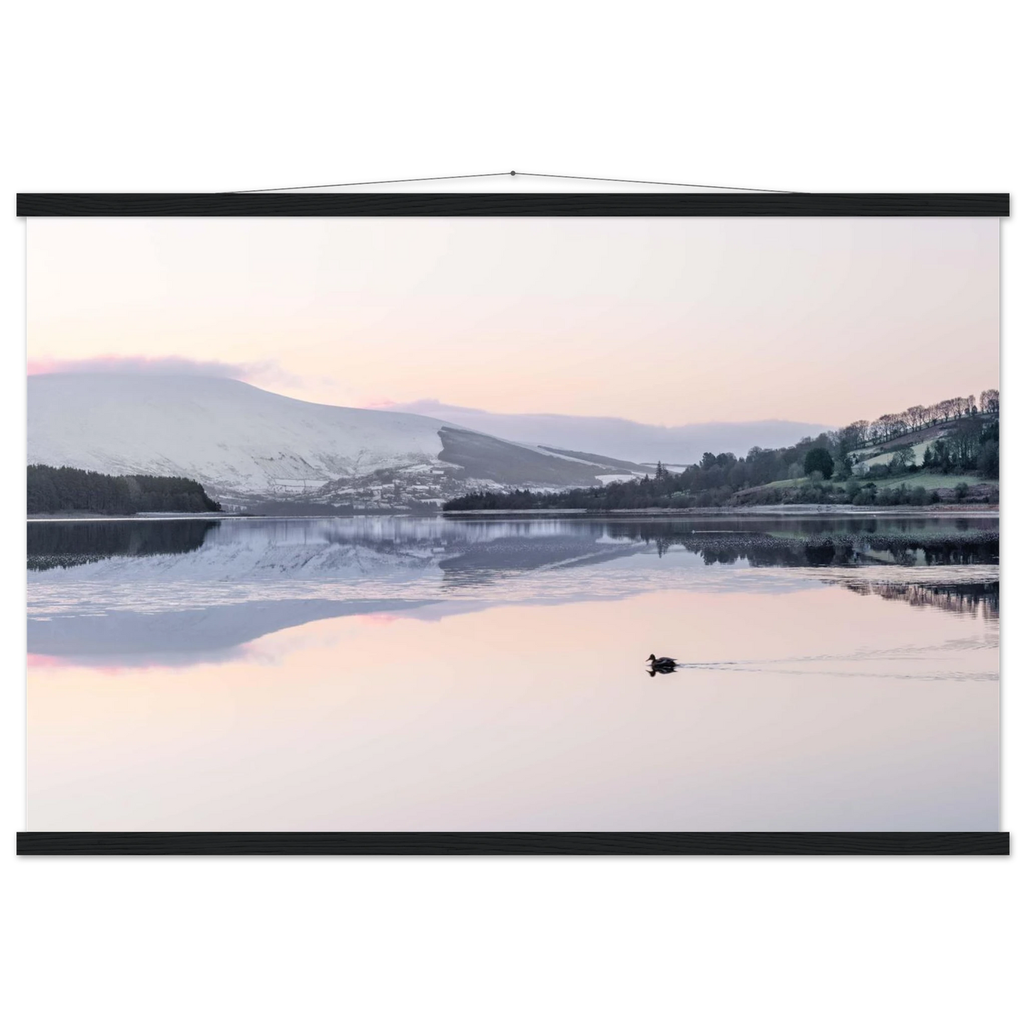 5ee5faa6-7238-4717-9f37-7d32d8a333db