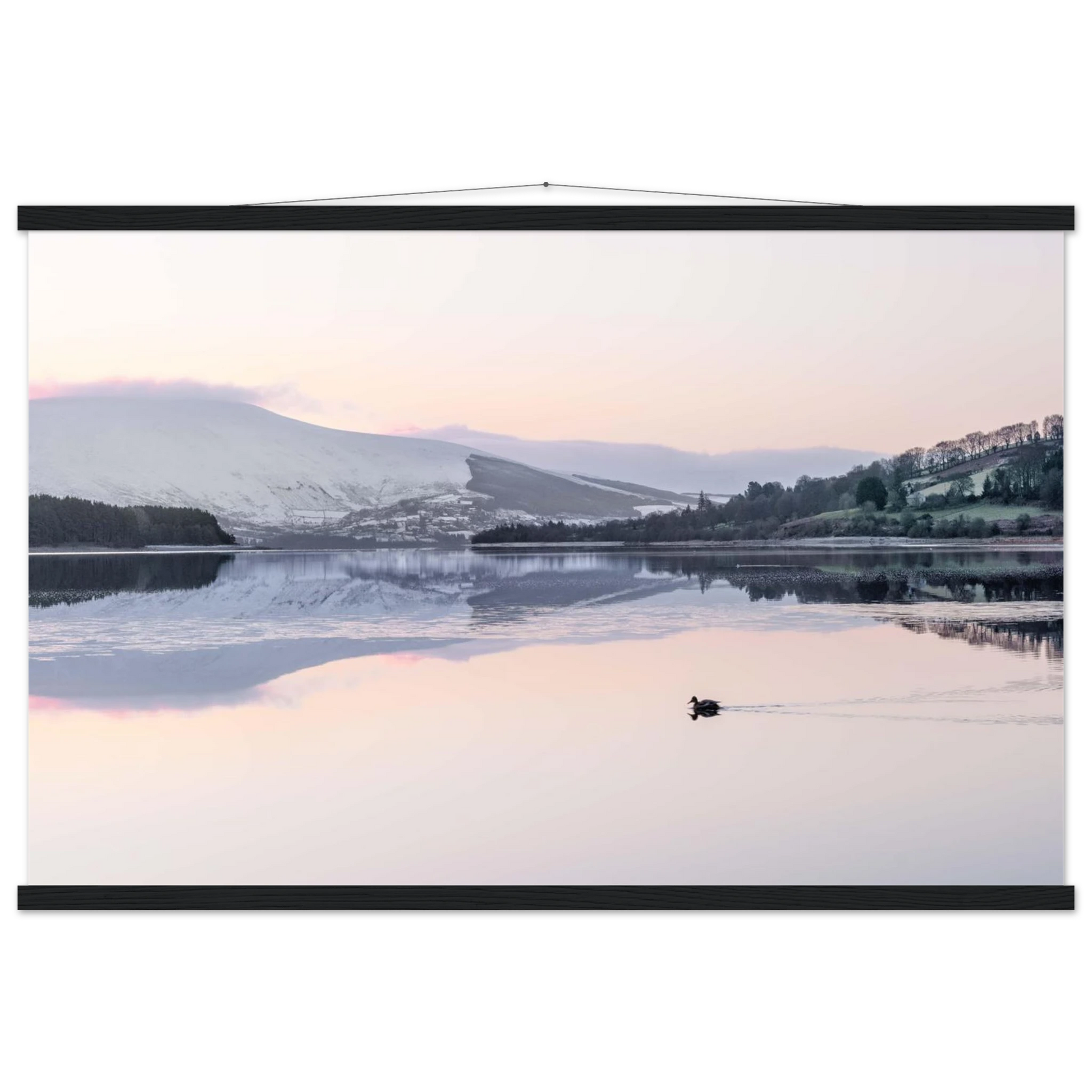 5ee5faa6-7238-4717-9f37-7d32d8a333db