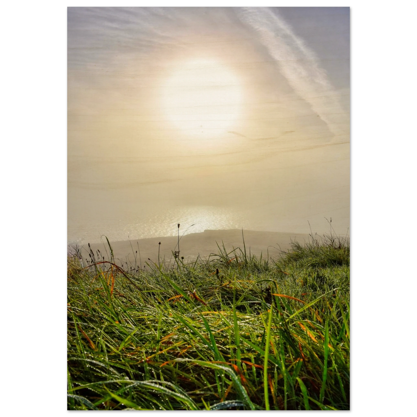 5f20c3a2-bede-41be-9173-0ca244efbe23