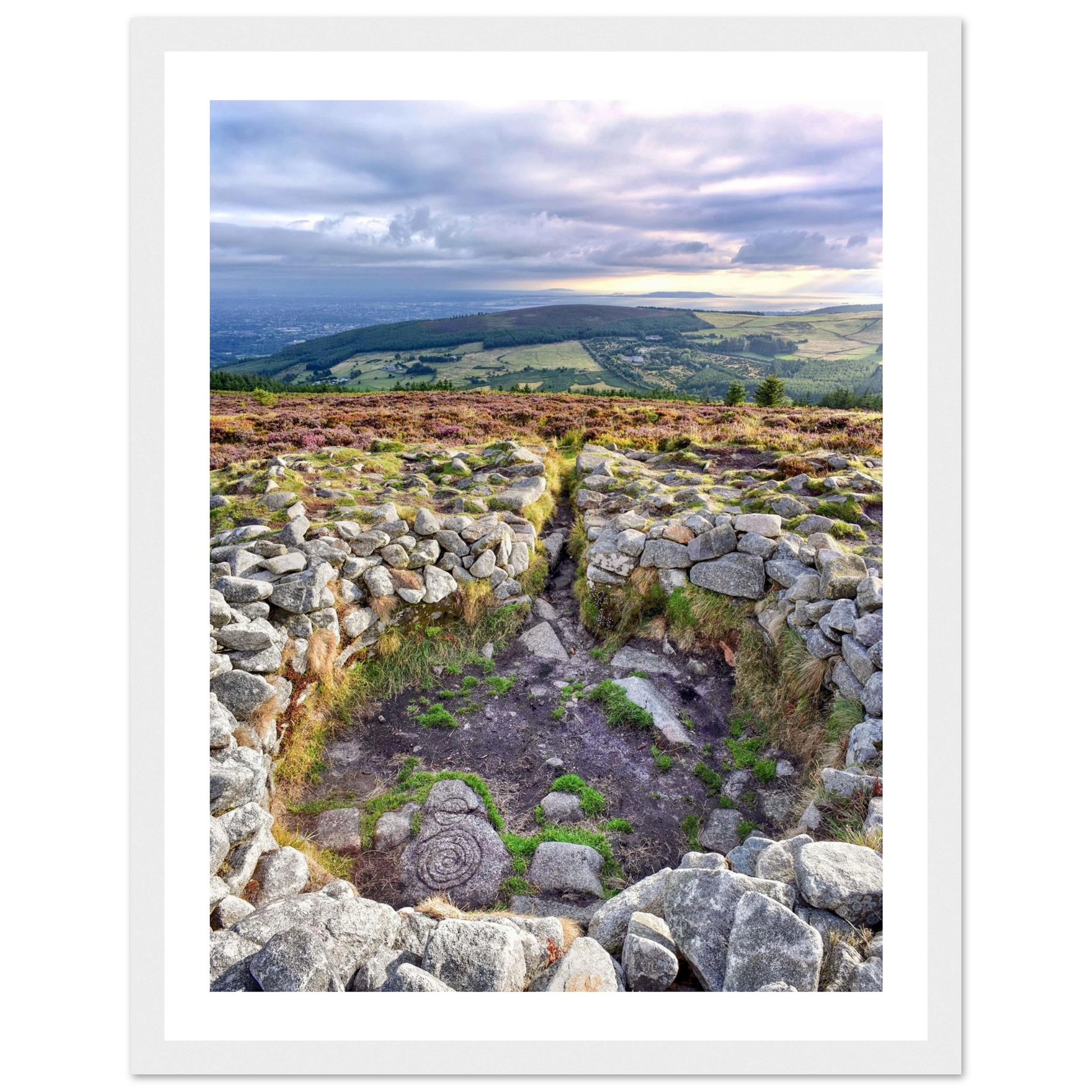 5f320d56-fc57-4d34-bf22-3d509d851cd4