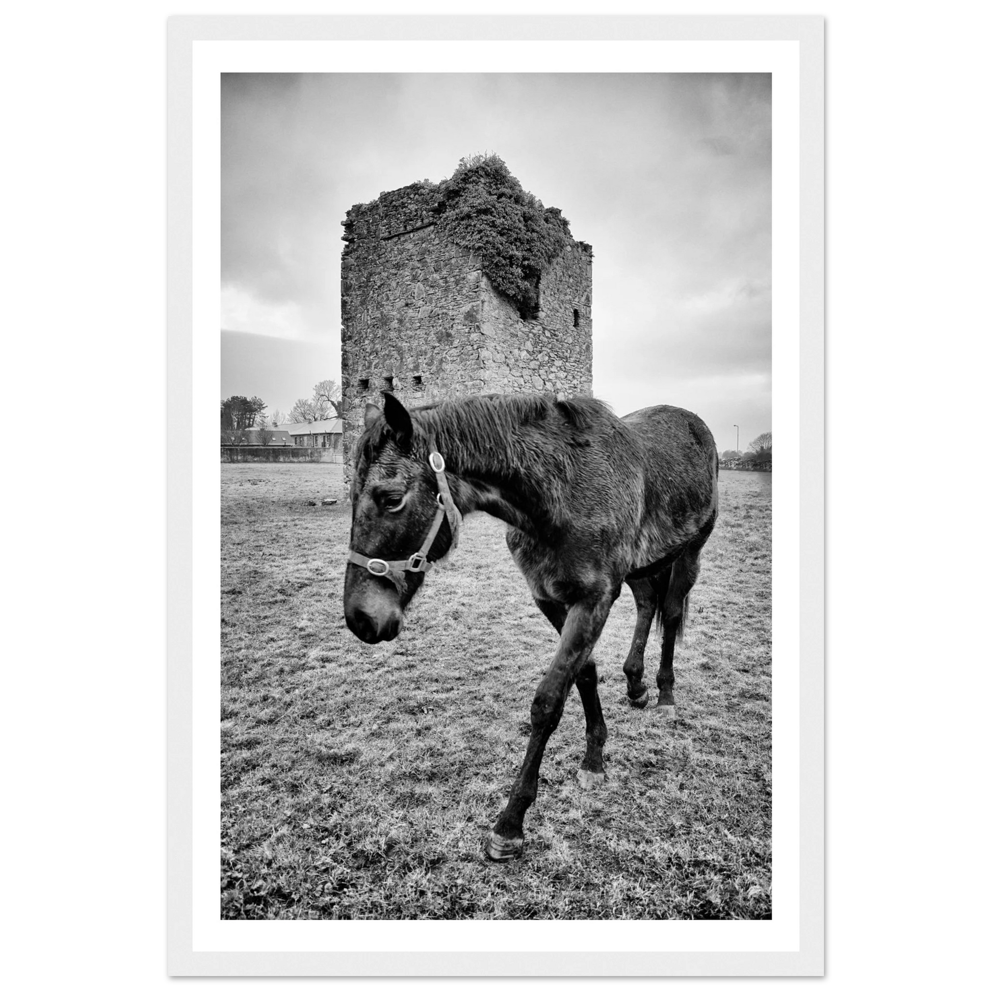 5f39a56a-a04c-4fa0-9321-f76e78425a8a