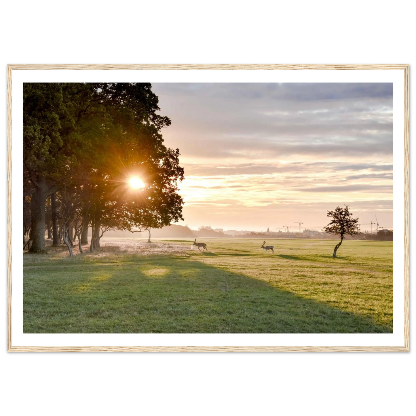 5fa32842-f739-4296-81a2-7d4d2d3fd415