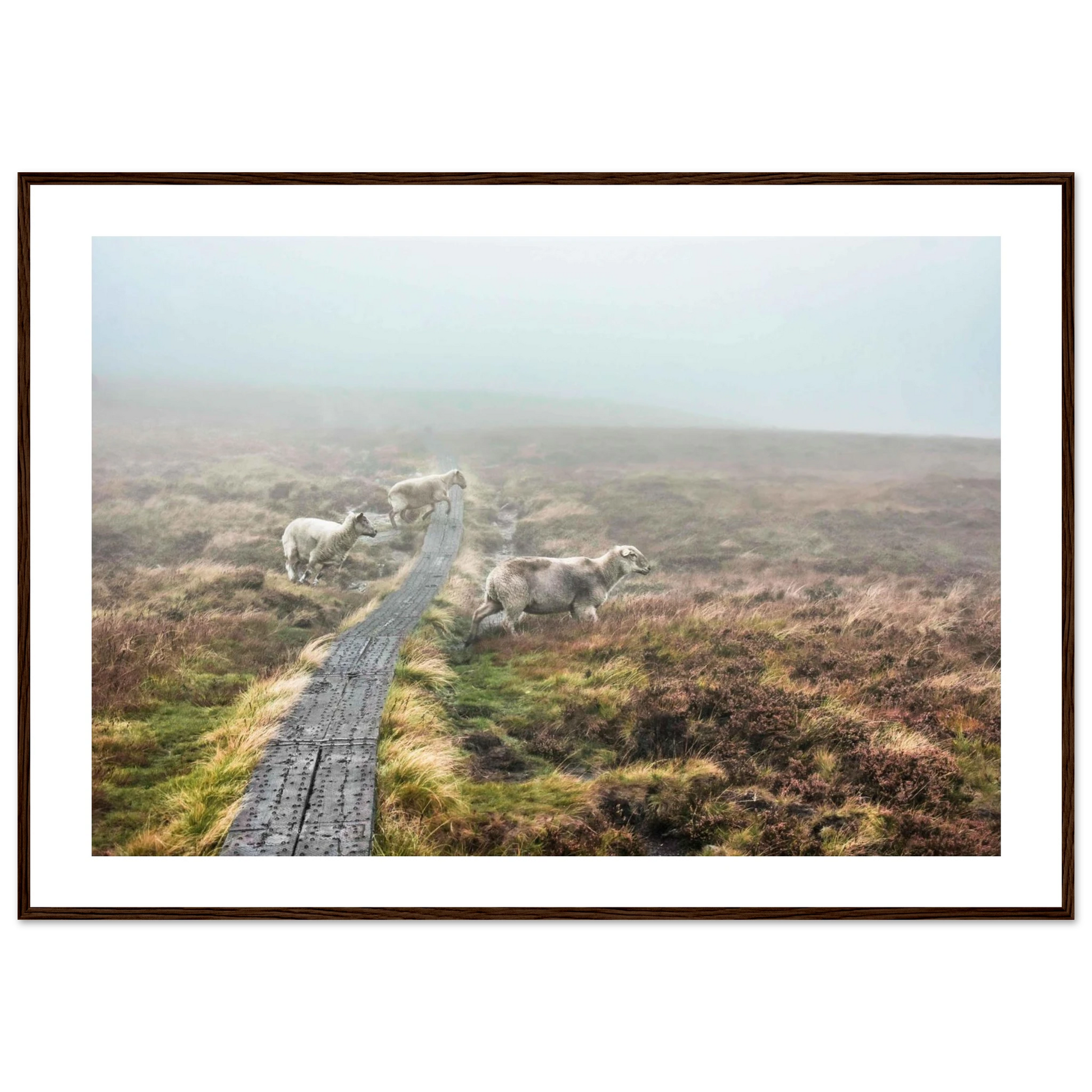 5facbf68-c10b-4bc0-8fd5-ce1725a182e4