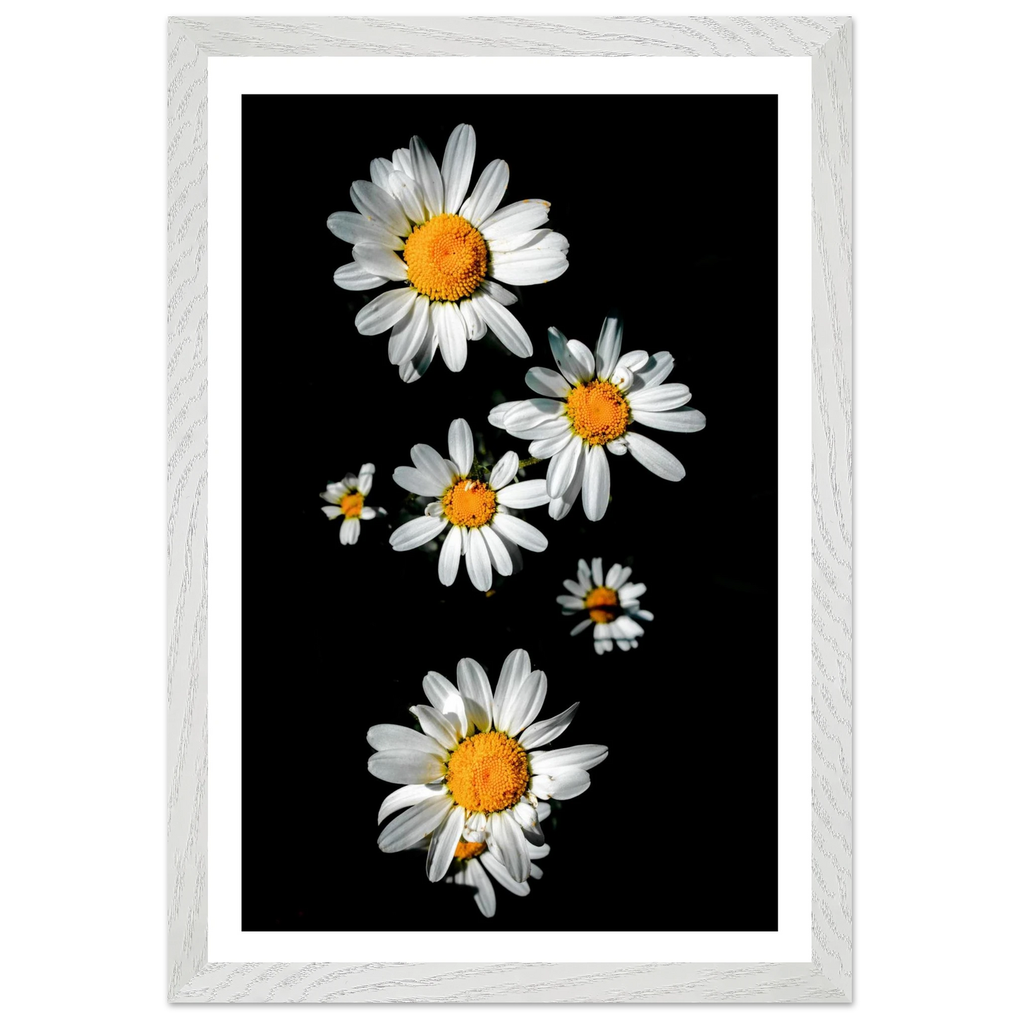 6003d6c9-7a7b-49c4-a353-76d7ffa5bf54