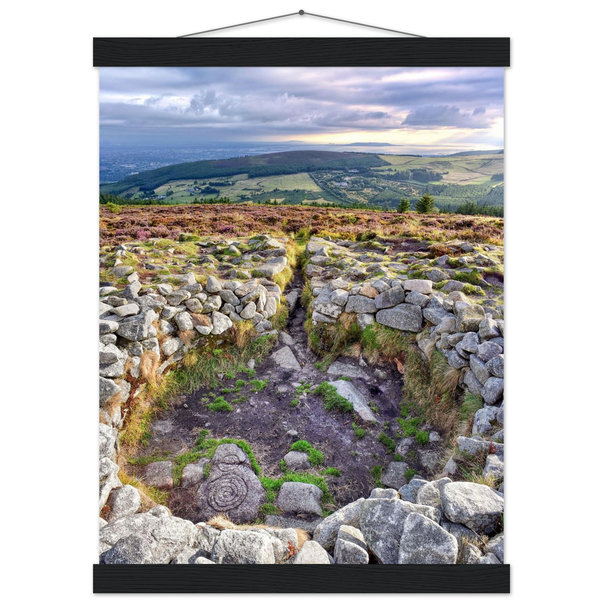 60296bed-264d-46bb-93b1-83c6ecf0d80f