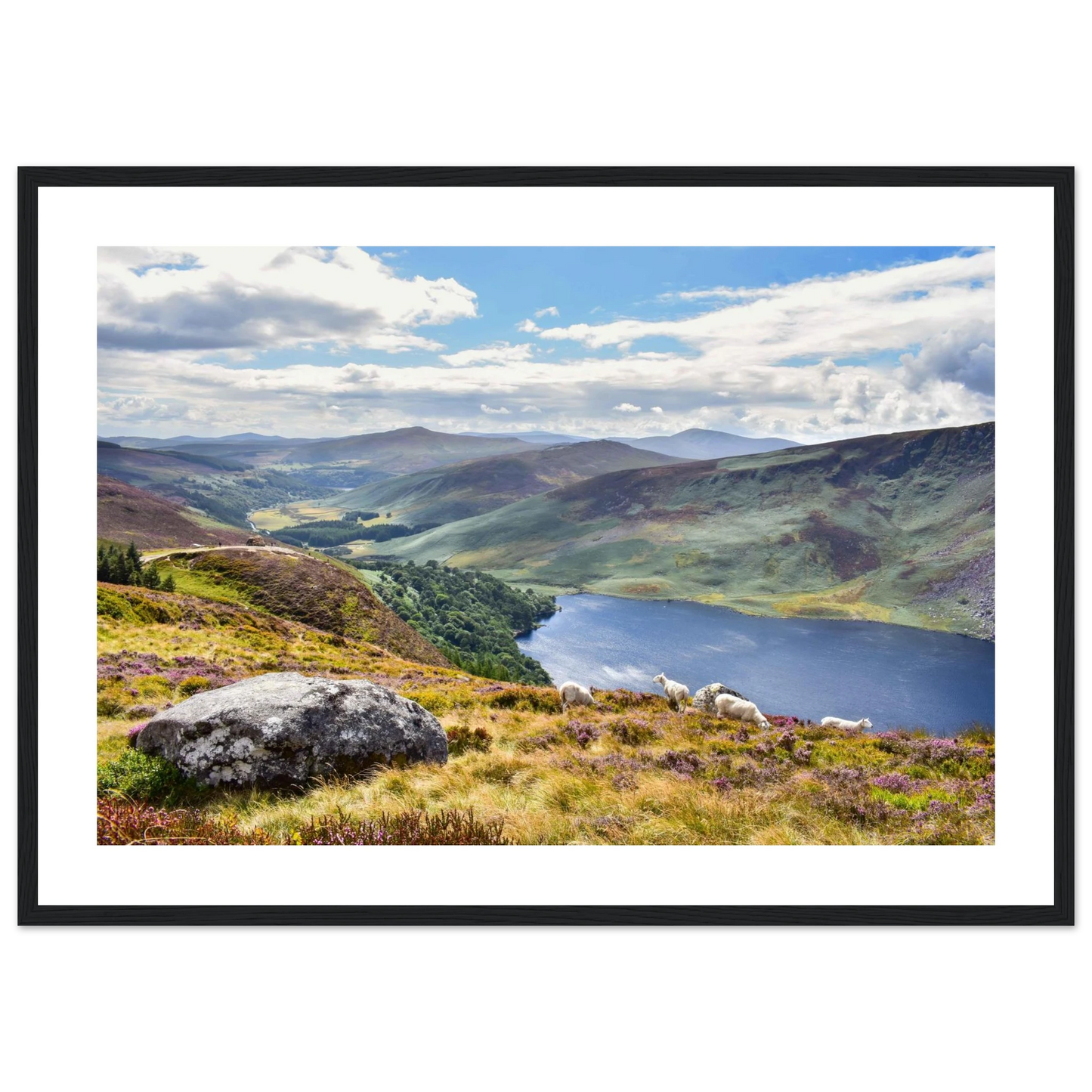 606d1157-50e3-4558-886a-f022e83df1d4