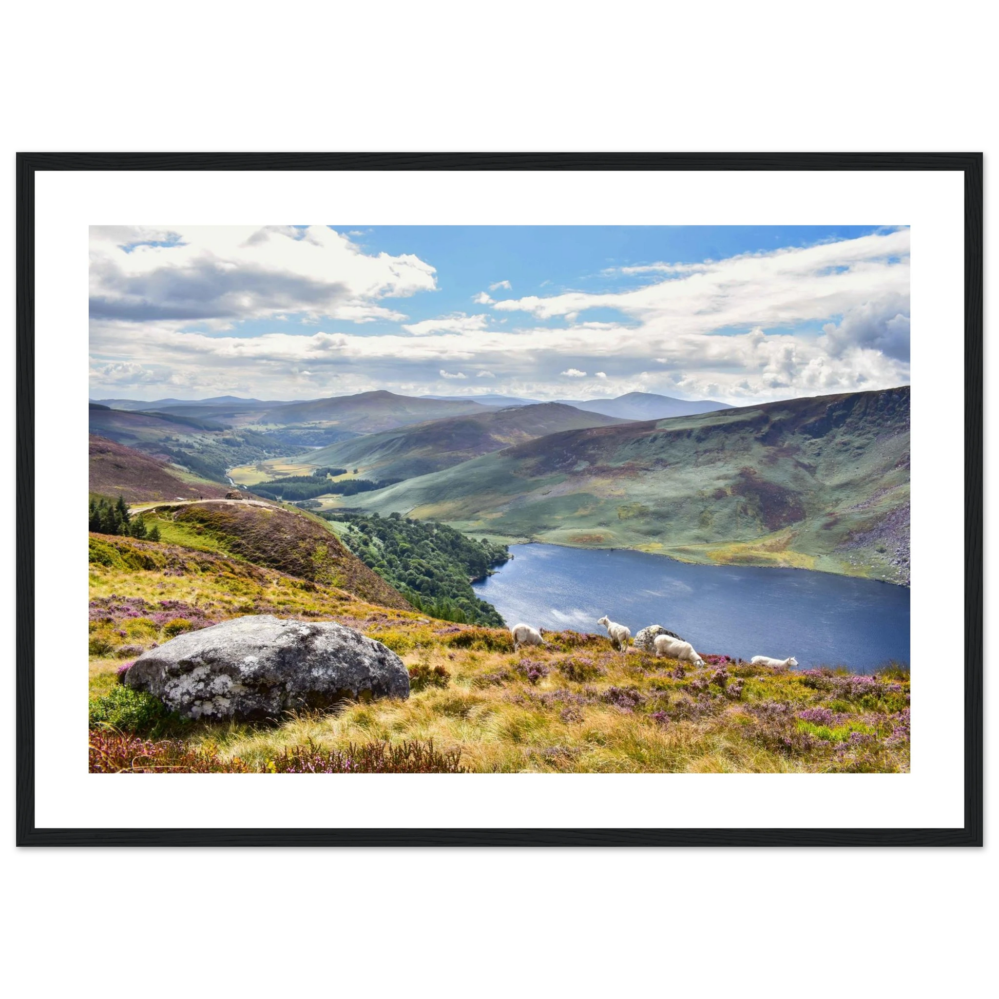 606d1157-50e3-4558-886a-f022e83df1d4