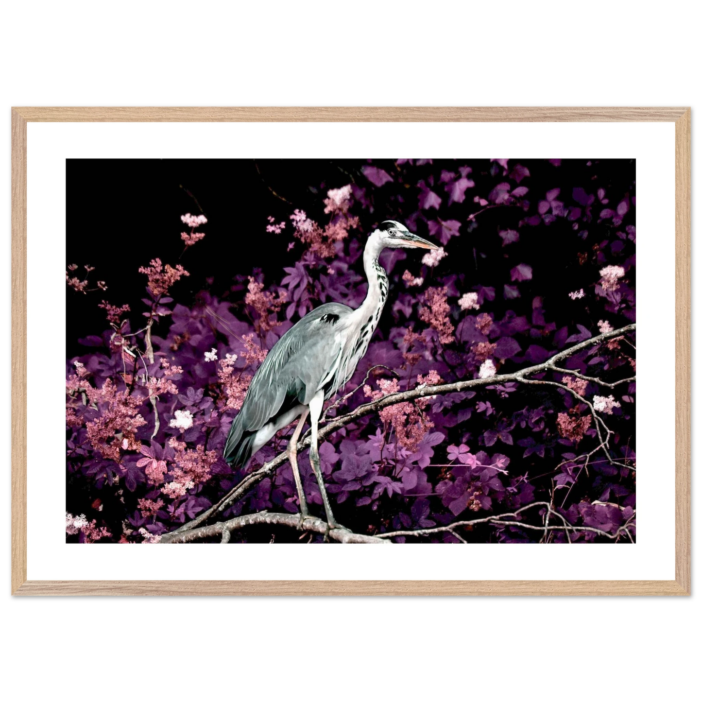 6178dadd-81e7-4d91-821c-250856820a4e