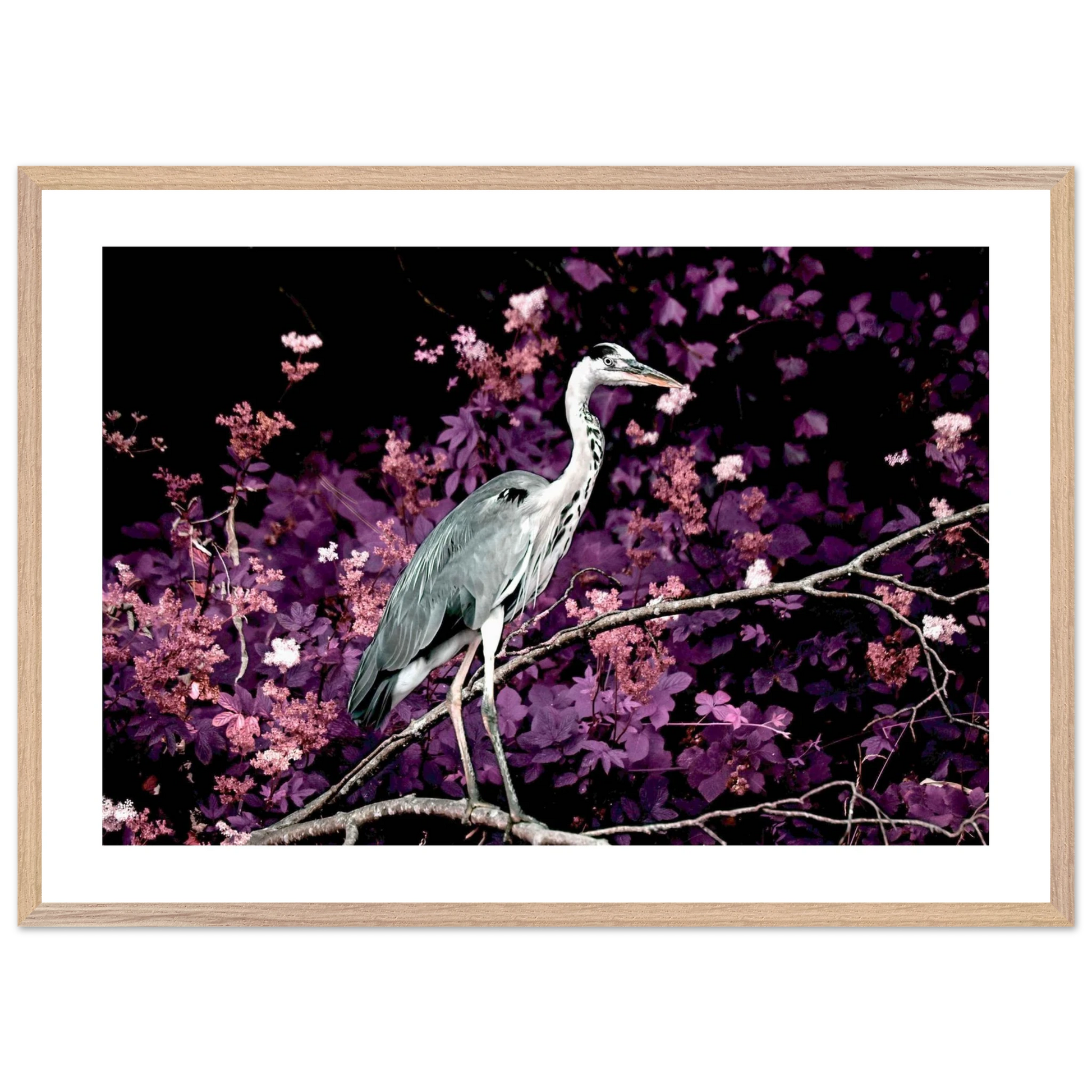 6178dadd-81e7-4d91-821c-250856820a4e