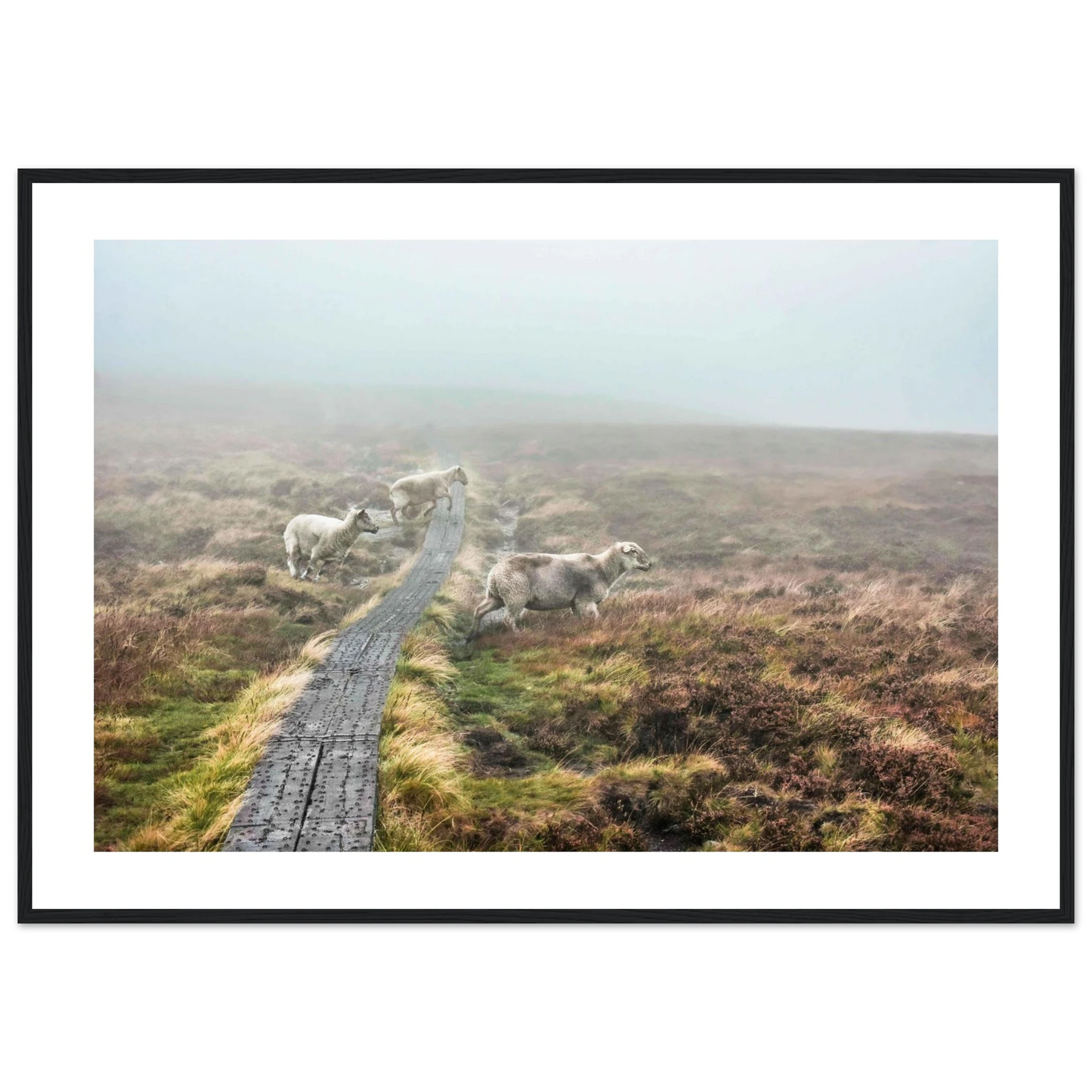 61836dec-3f98-4ee5-ac68-495258276202