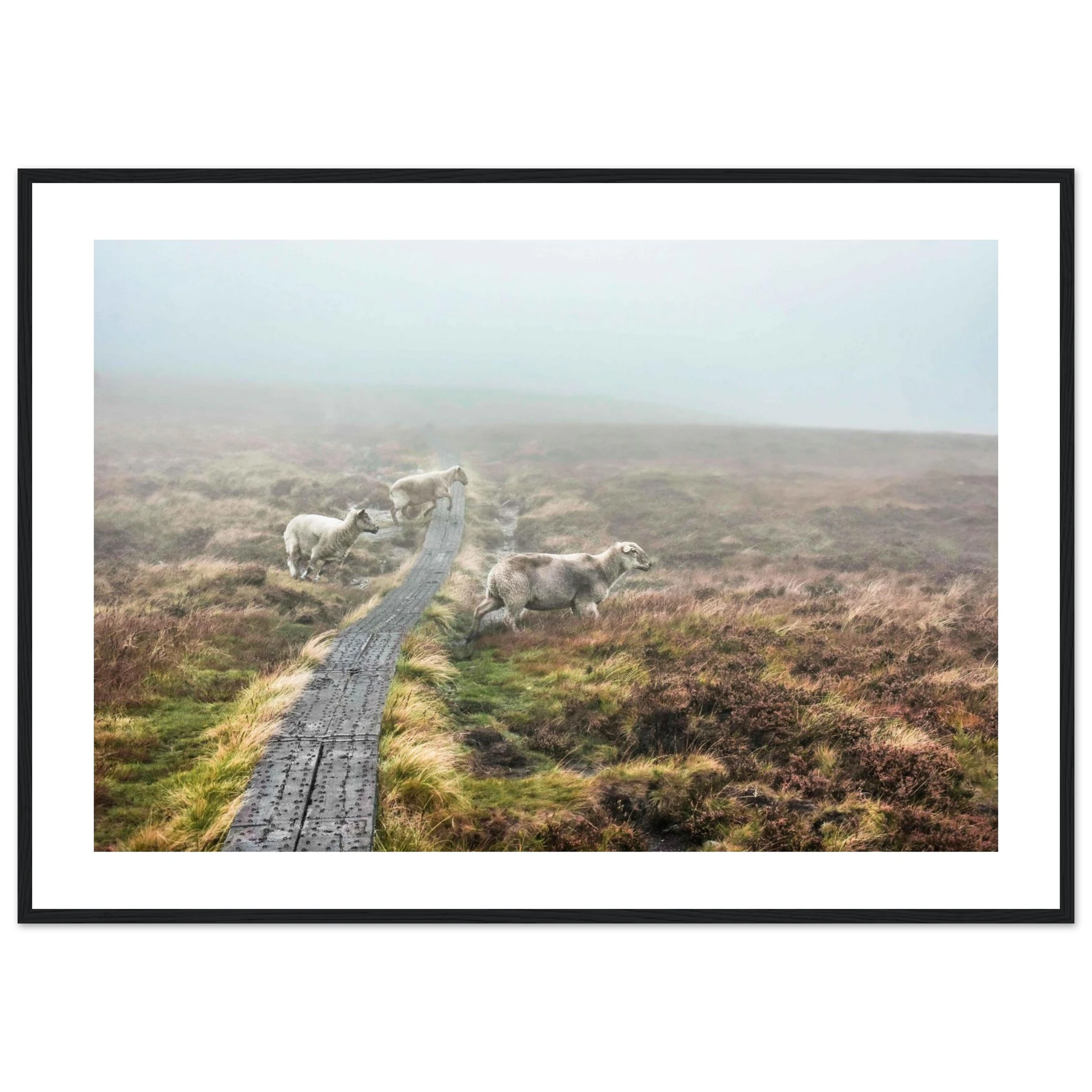 61836dec-3f98-4ee5-ac68-495258276202