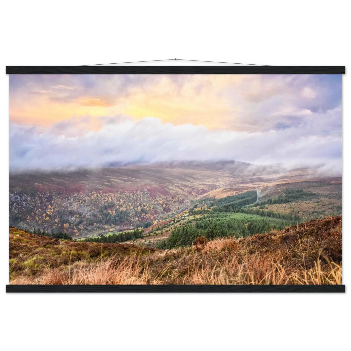 61f91c3b-1f57-41d2-b33f-c250f0291def