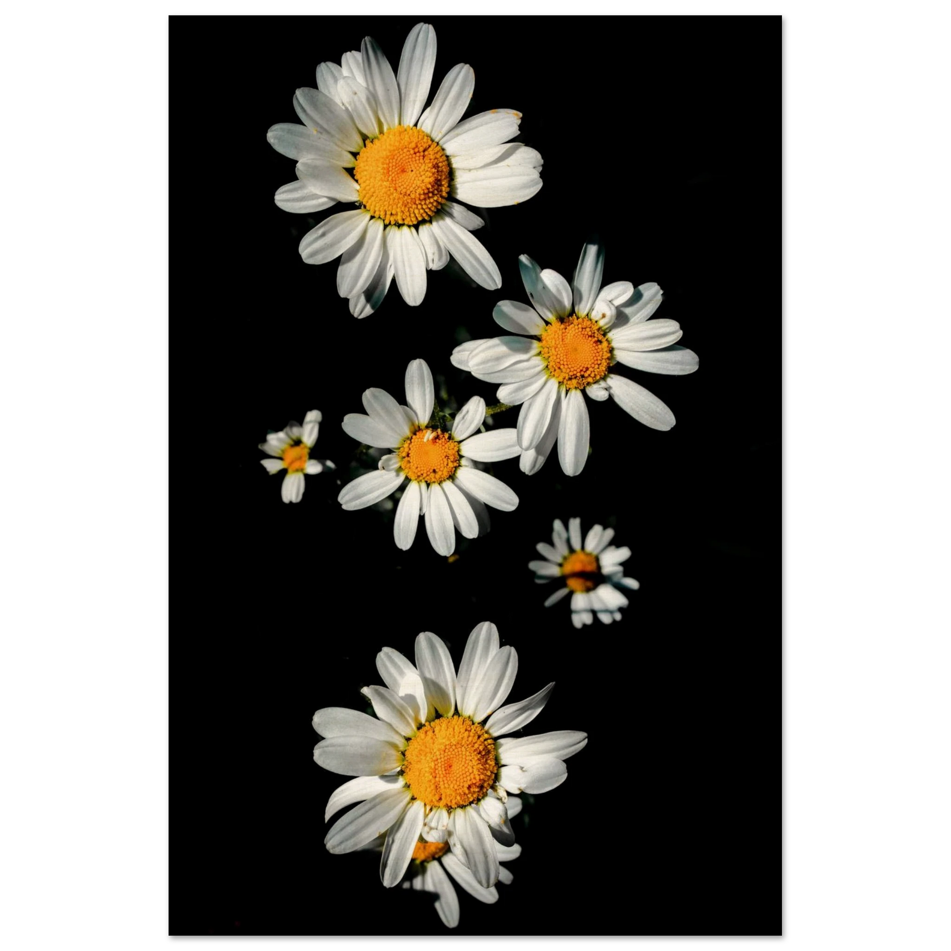 620d3e2f-2f3f-4c5b-8765-cbbe0b54497e