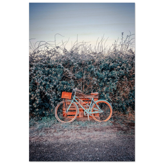 62118124-3608-44ff-8c55-a8745fc30cac