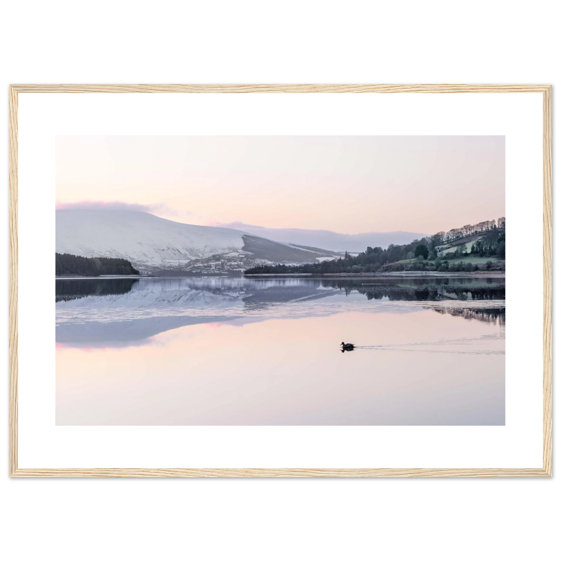 622811af-75ba-4058-bb77-42ab8277cbaa