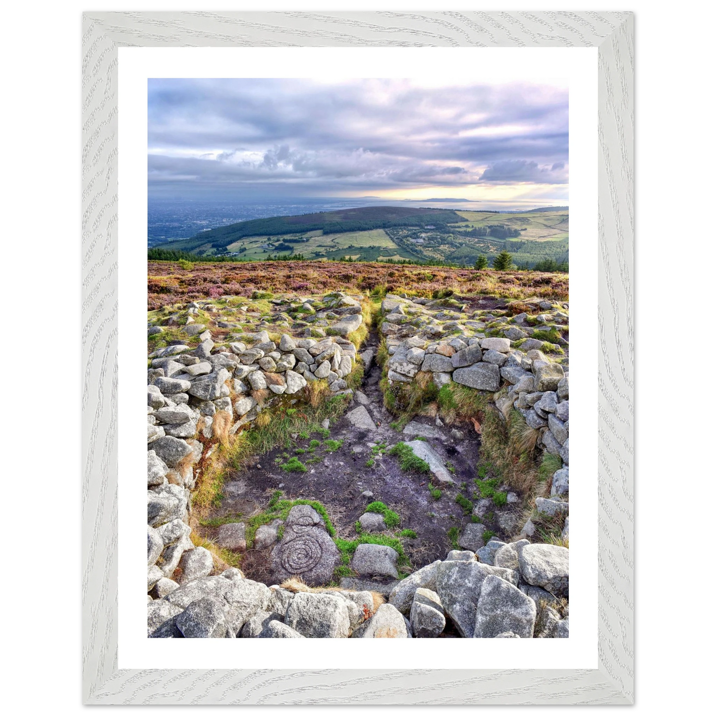 627f1422-0fe5-4ad1-b74e-855dbdf4c584