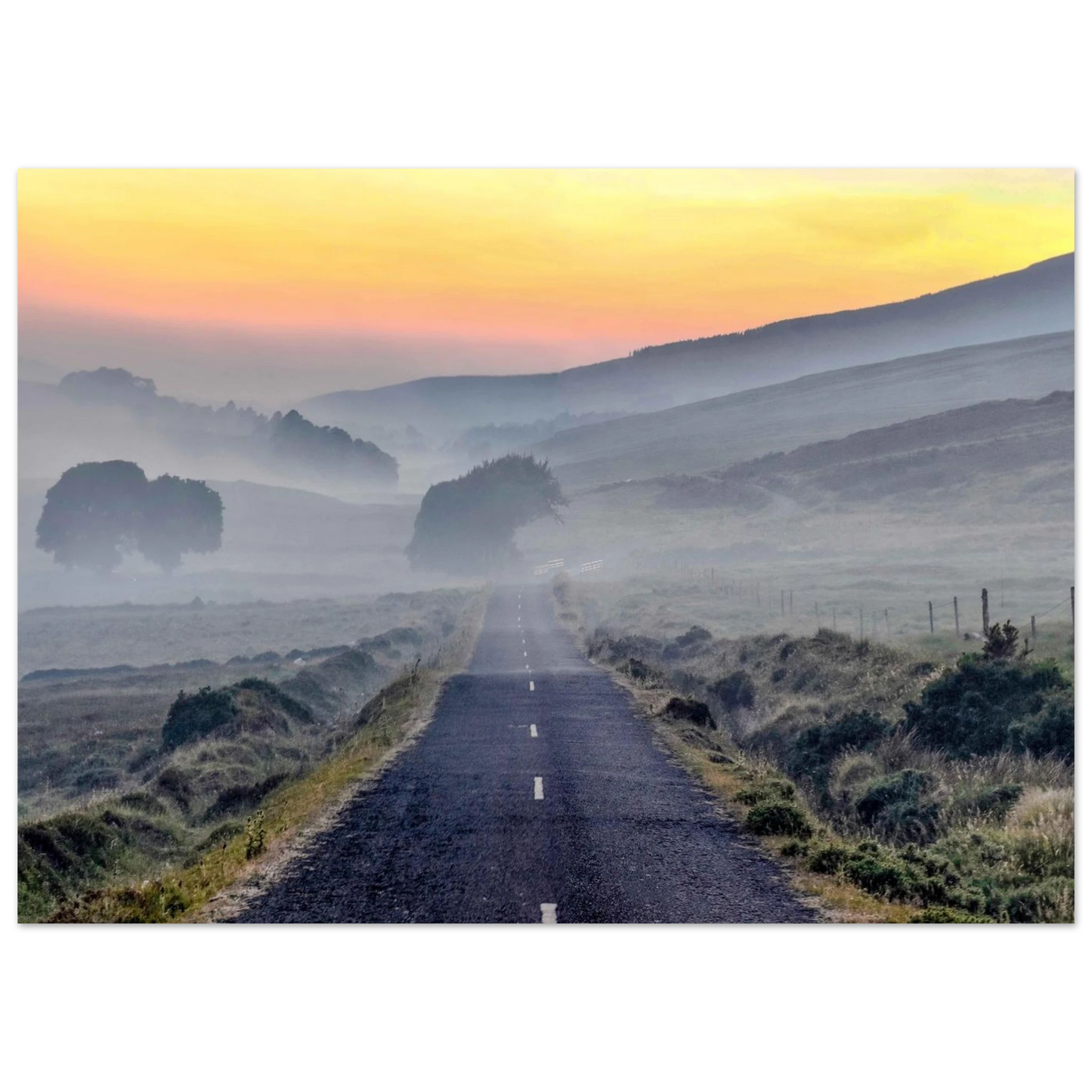 62aa143e-4a04-4ece-94f1-1472cfa347d8