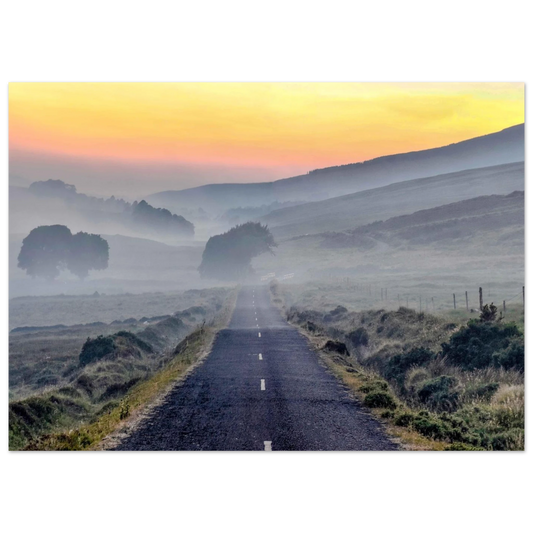 62aa143e-4a04-4ece-94f1-1472cfa347d8