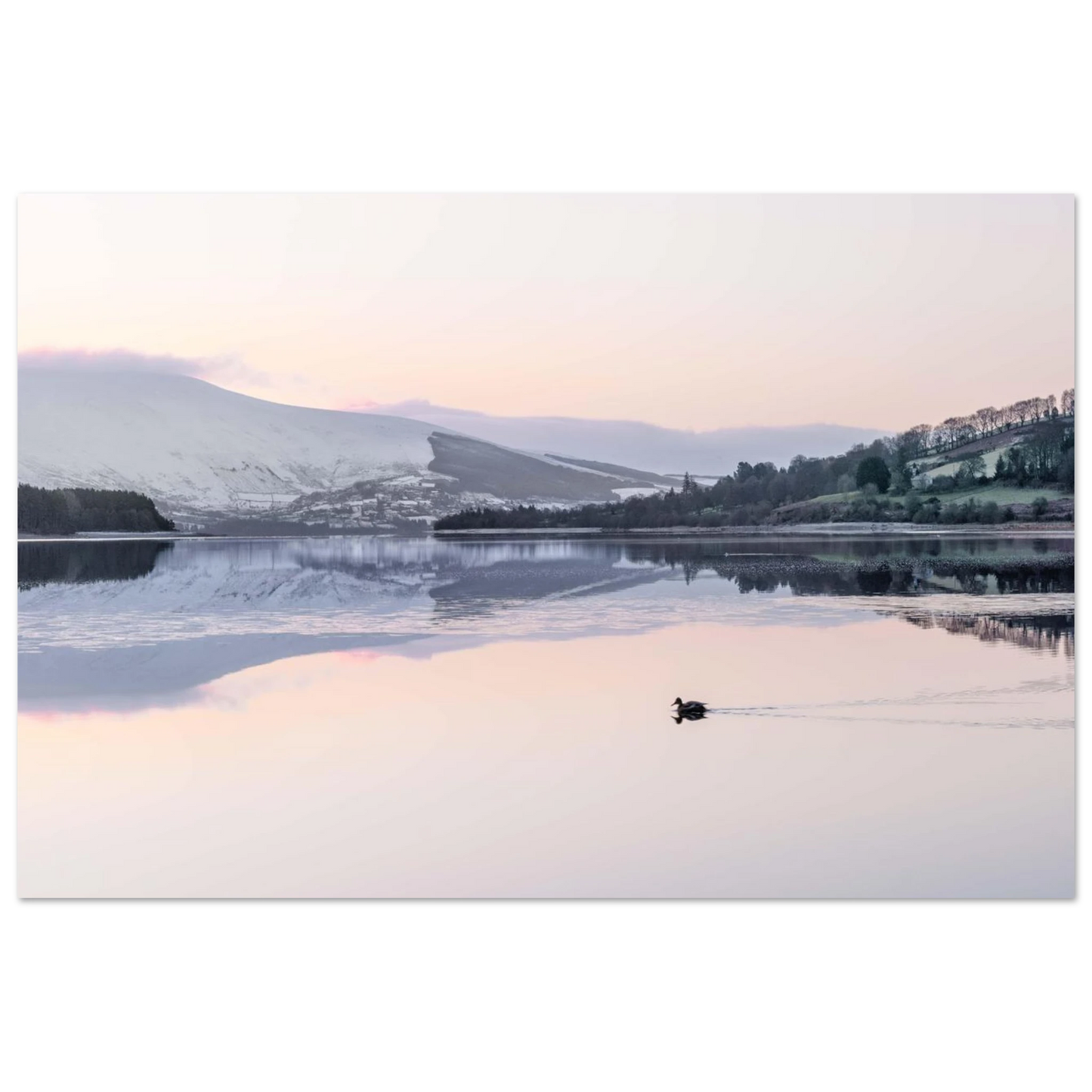 6349bf64-47ba-4d43-9e1c-86f2a9ffb94f